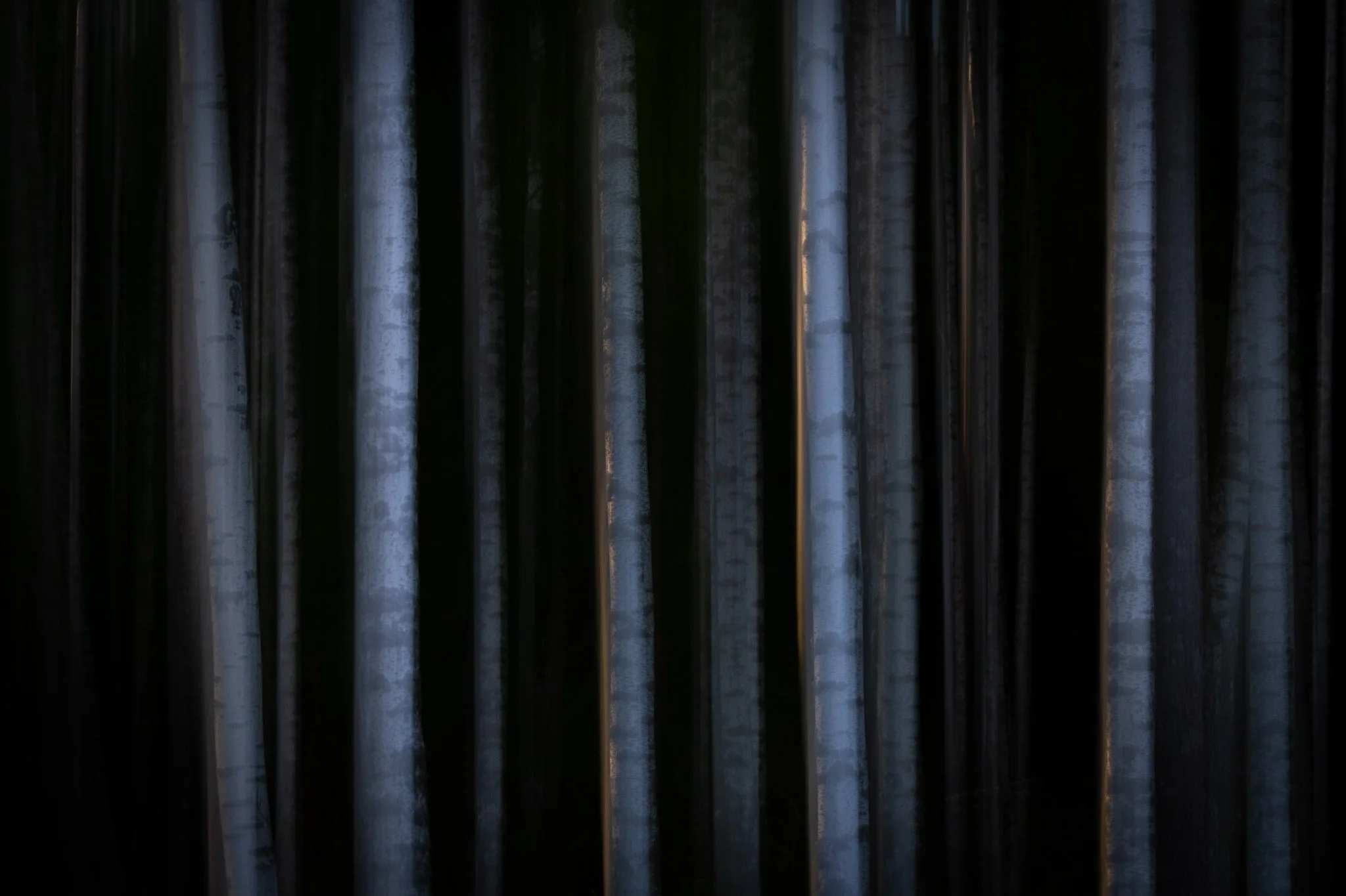 R6II7690.jpg