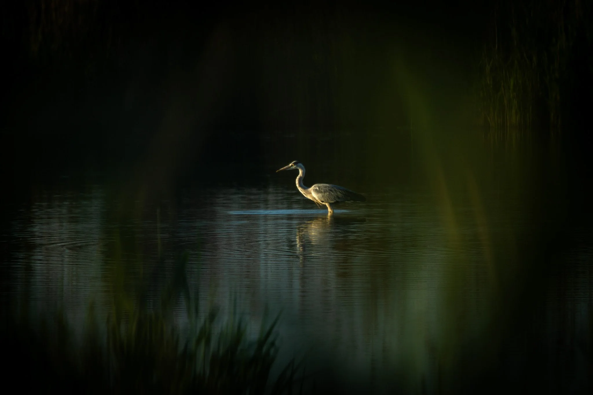 R6II3827.jpg