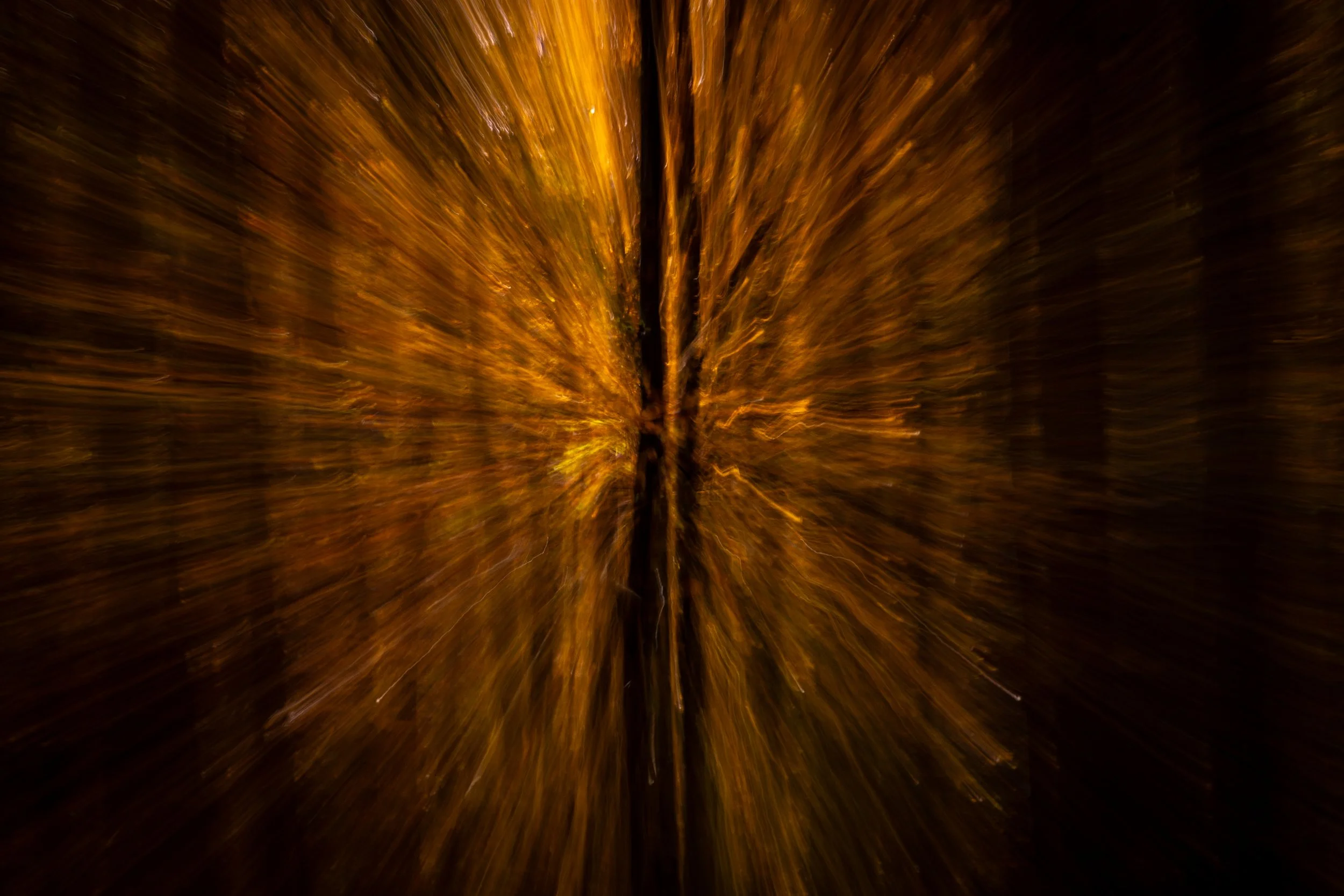 R6II1659.jpg