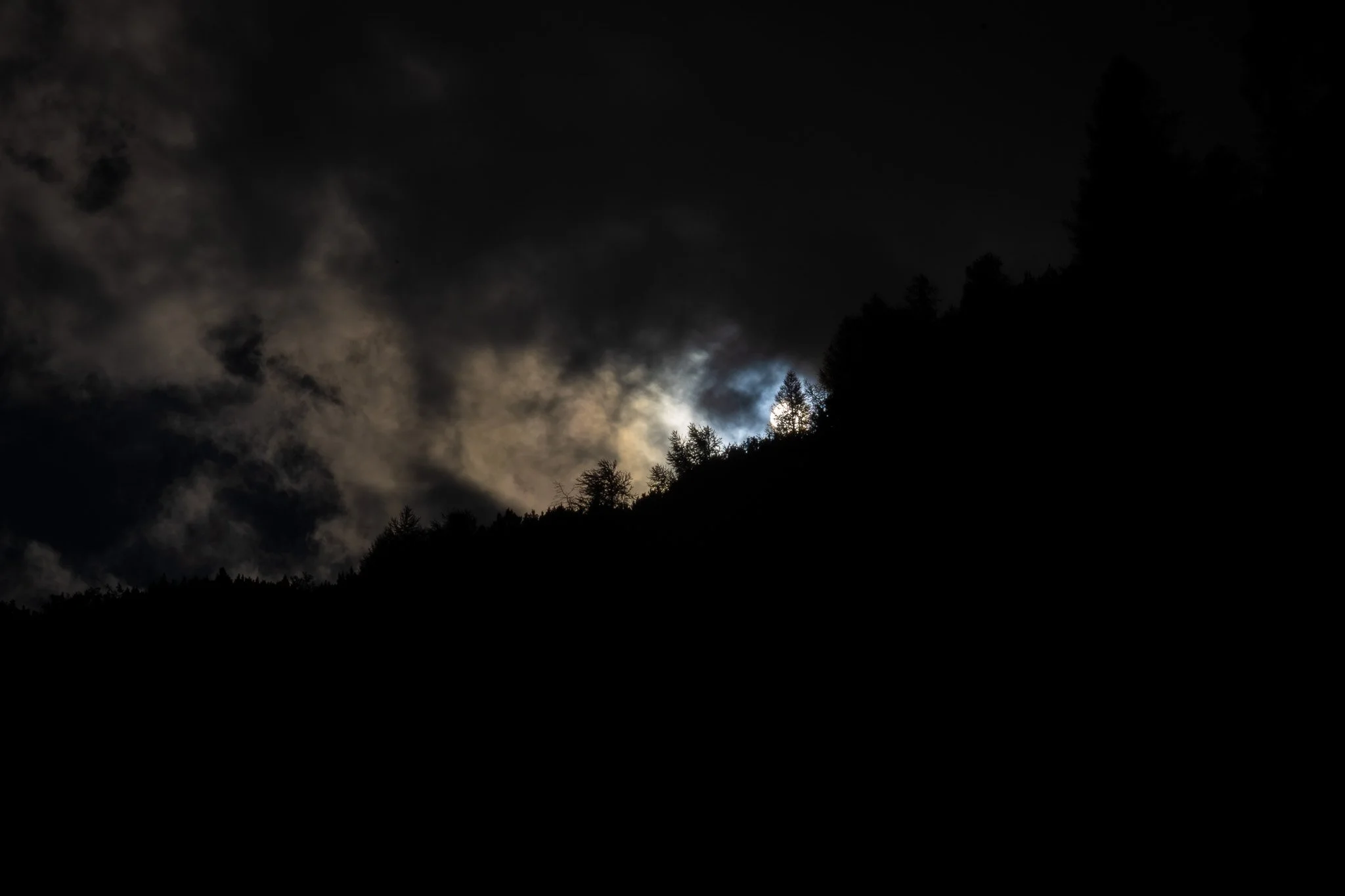 R6II1424.jpg