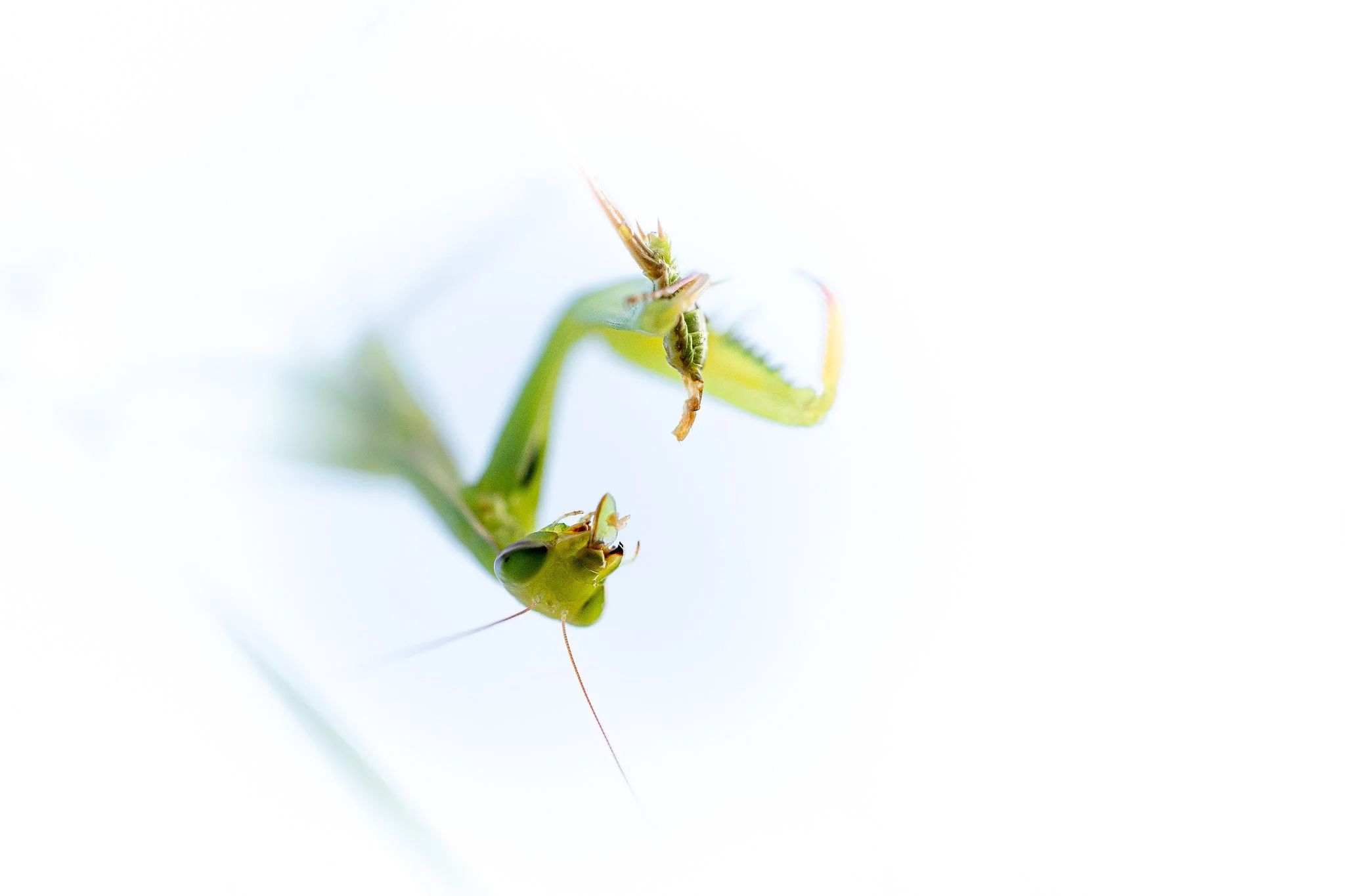 R6II0401.jpg