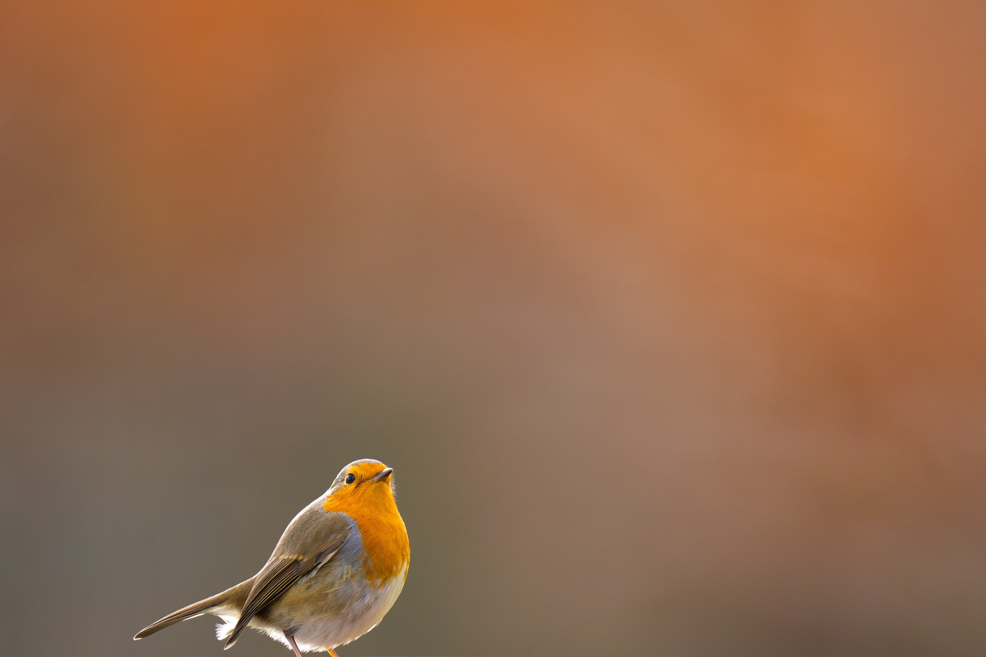 P1071527-Verbessert-RR.jpg