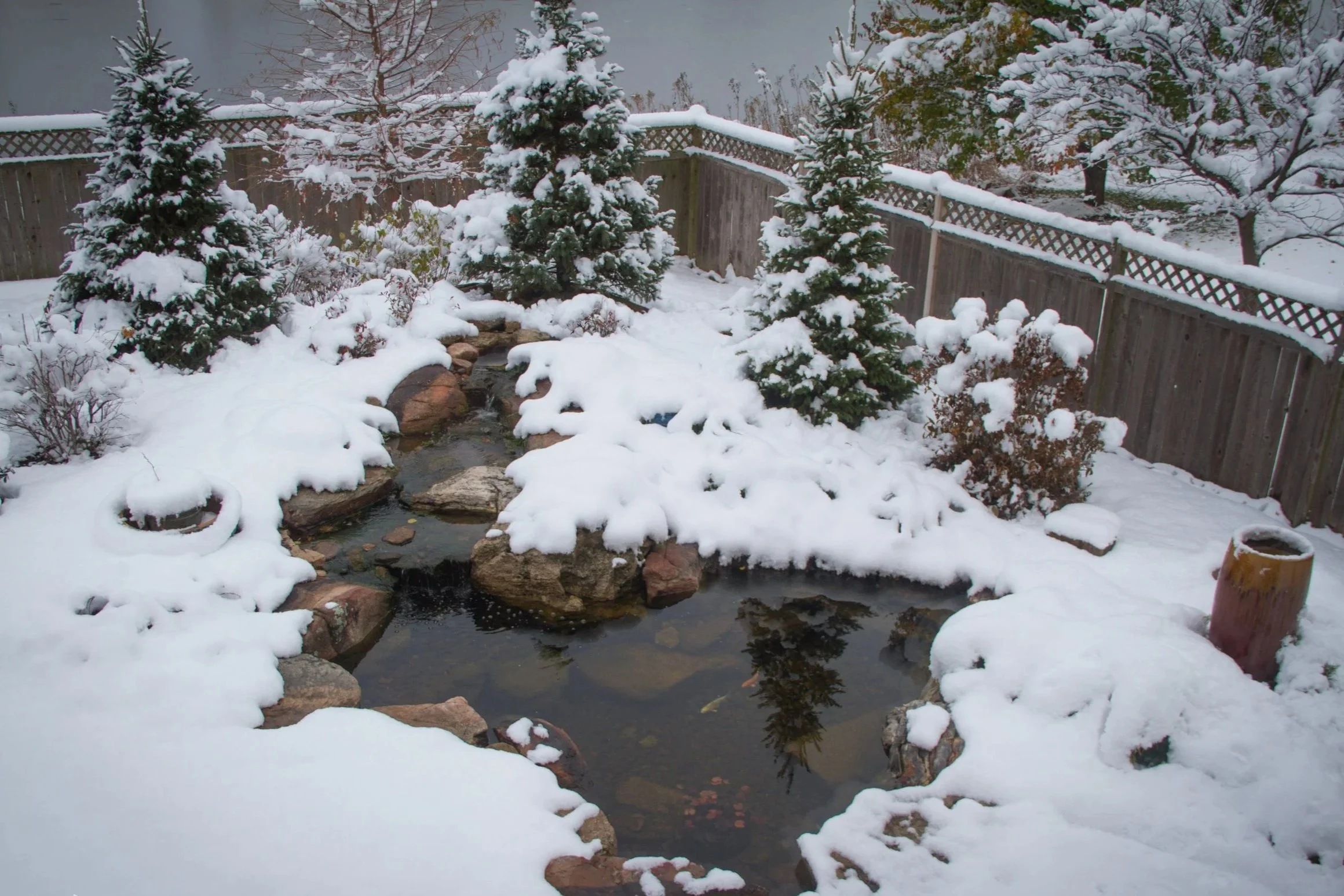 How to Winterize Your Pond in the Northeast (Without Killing Your Fish)