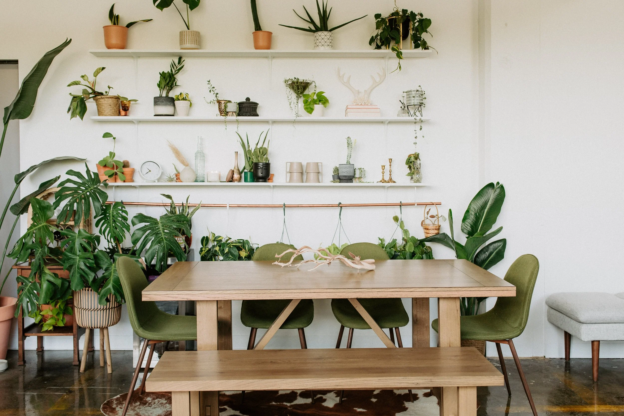 KALEIGH RAE PHOTOGRAPHY