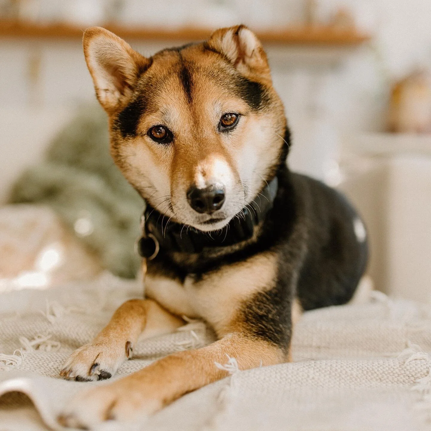 KALEIGH RAE PHOTOGRAPHY