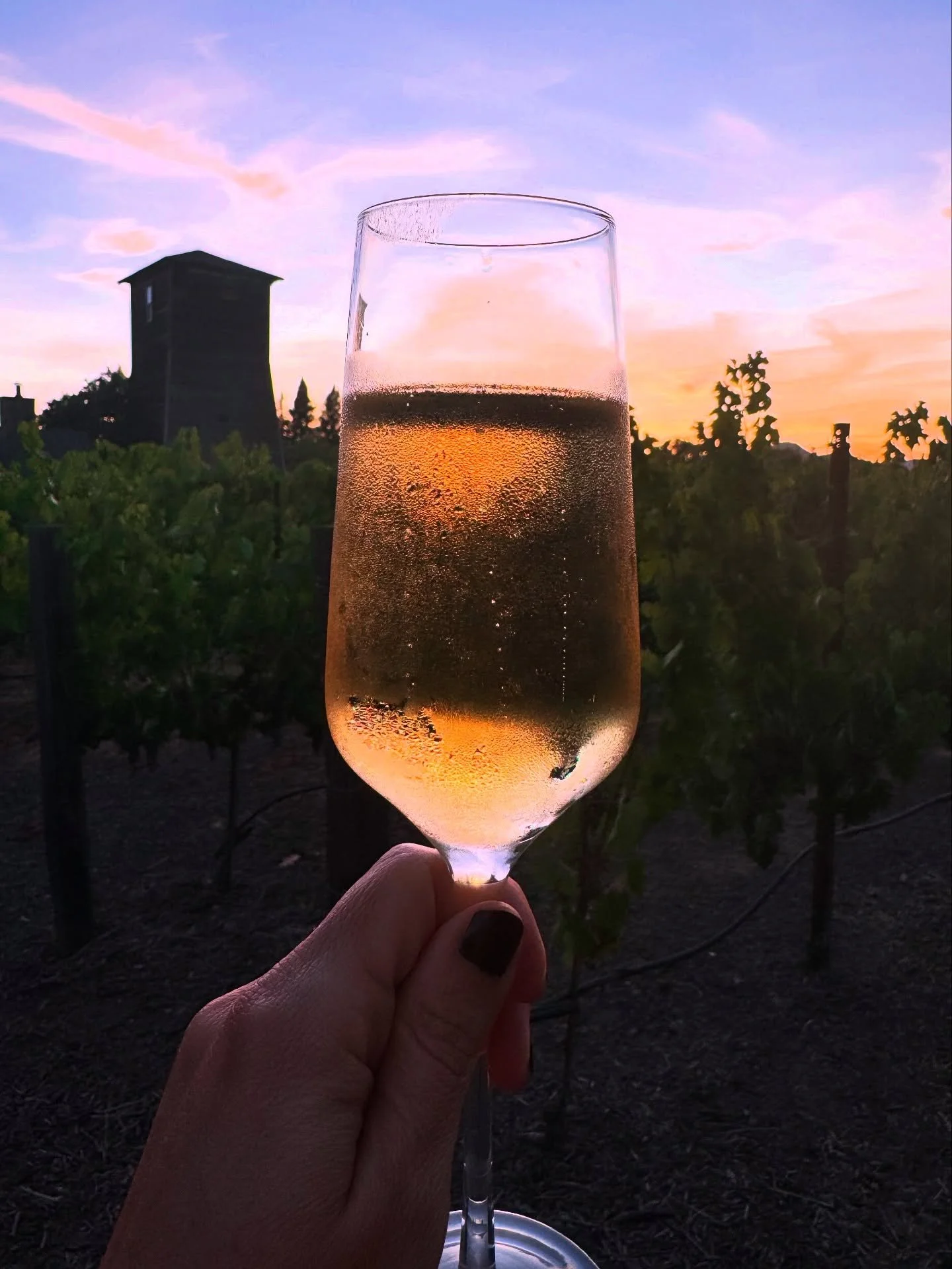 Cultivation trip to Wine Country for @highmuseumwine 🍷
.
.
.
.
#highmuseumwineauction #partywithapurpose #artandwine