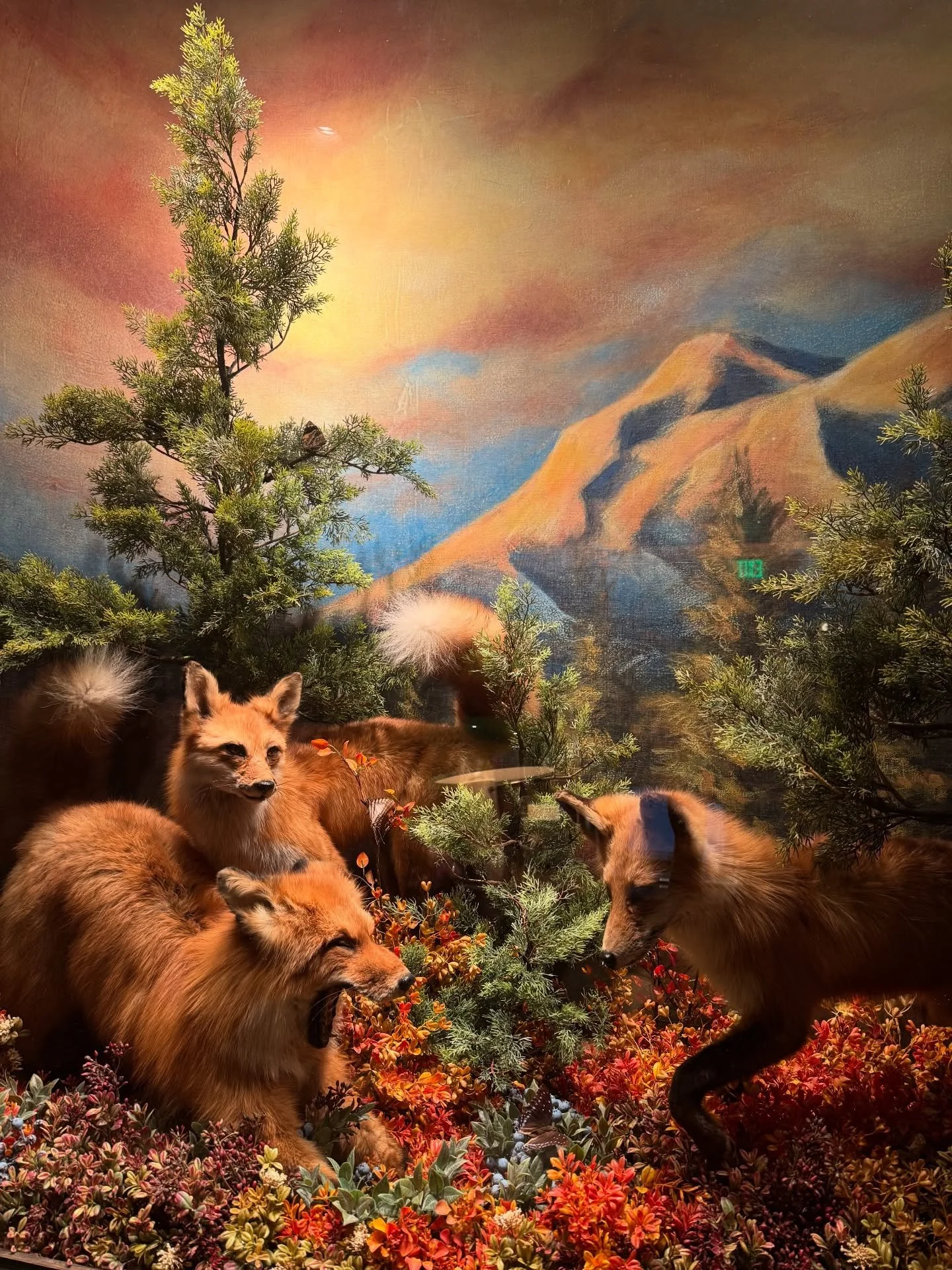 Scorpio Season ❤️&zwj;🔥♏️✨