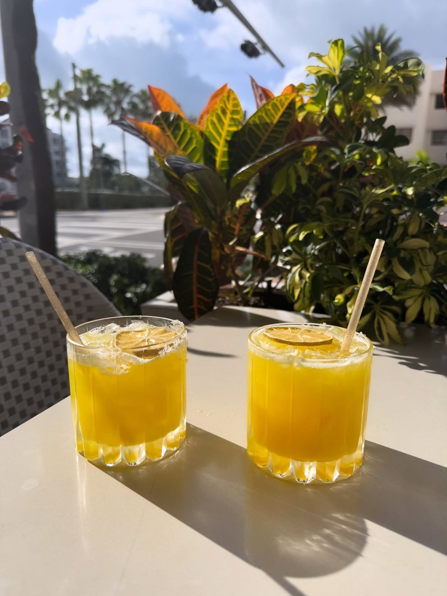 A few 📸 from Miami Art Week 🌴💖