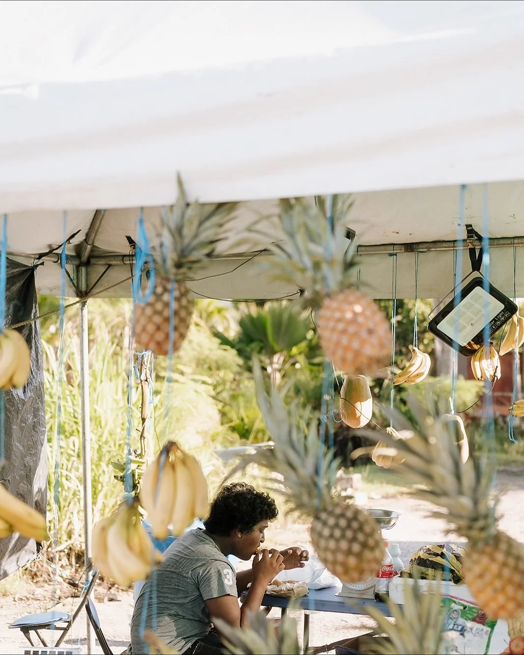 day 6 + 7 - food tour + tobago

we couldn&rsquo;t wrap up our wedding week without a proper food tour - because in Trinidad, food is the love language. 🥘 from north to south, we spent the day eating our way through the island - lobster roti, mixed f