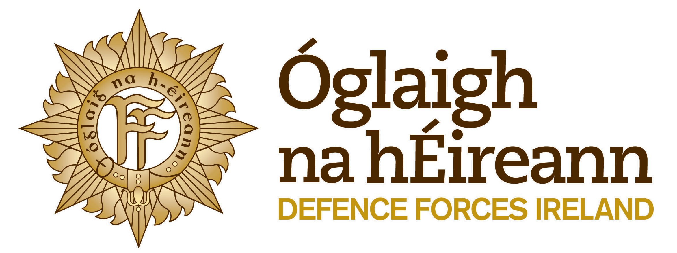 Irish Defense Forces.jpeg