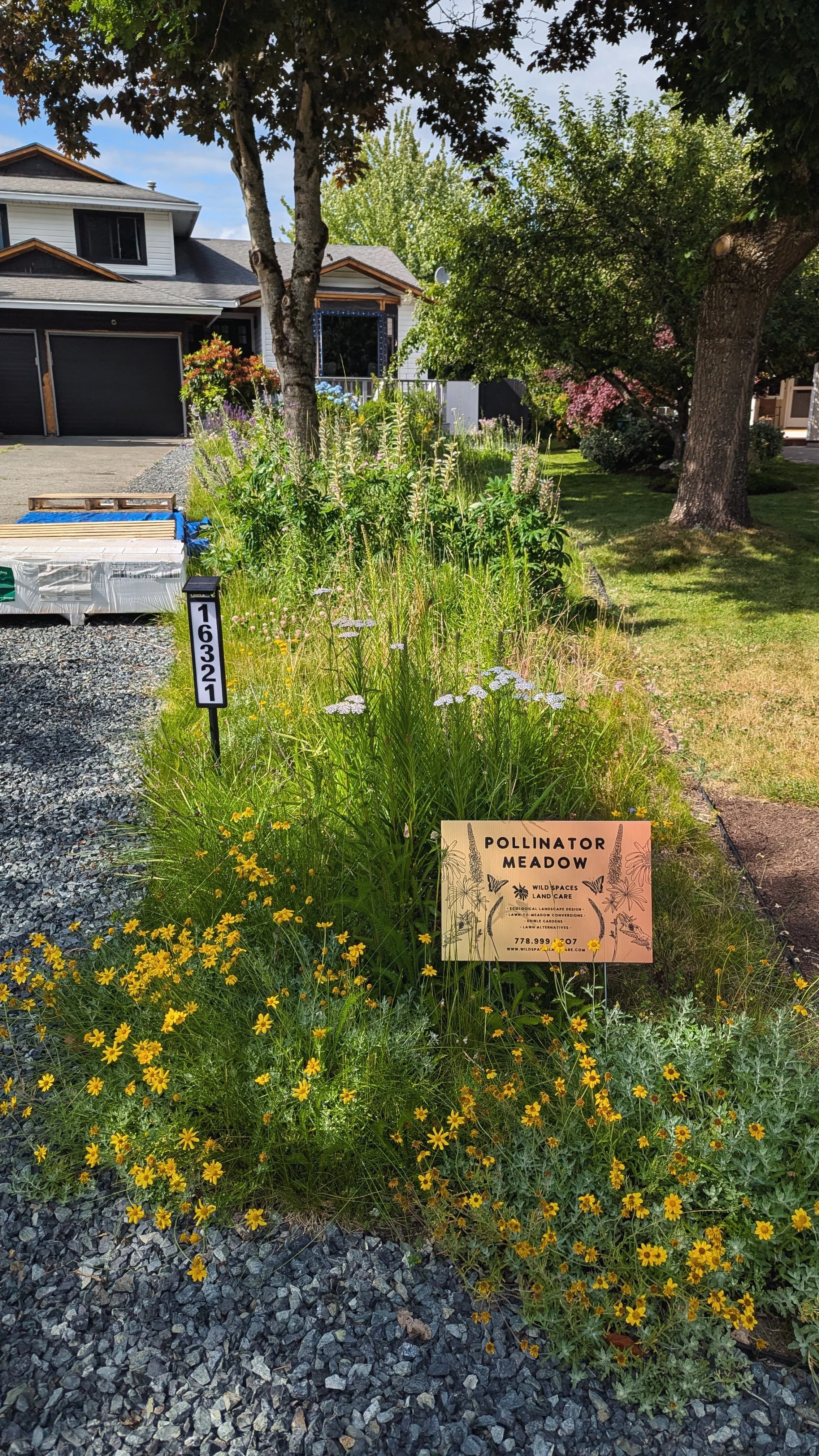 PXL_20250618_233428803 (1).jpg