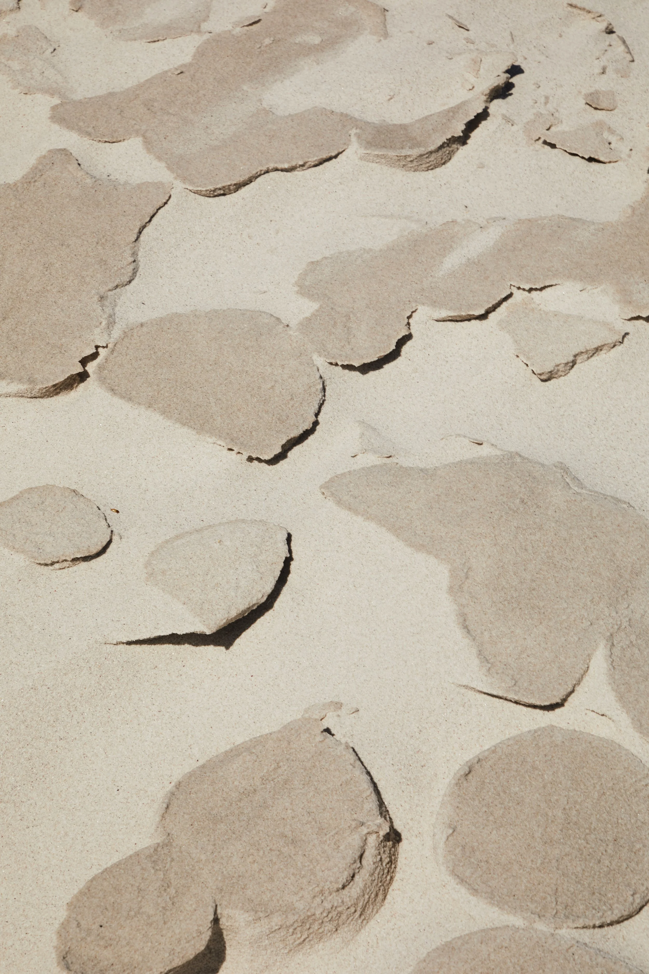 Cracked and broken pieces of beige-colored paper scattered on a surface.