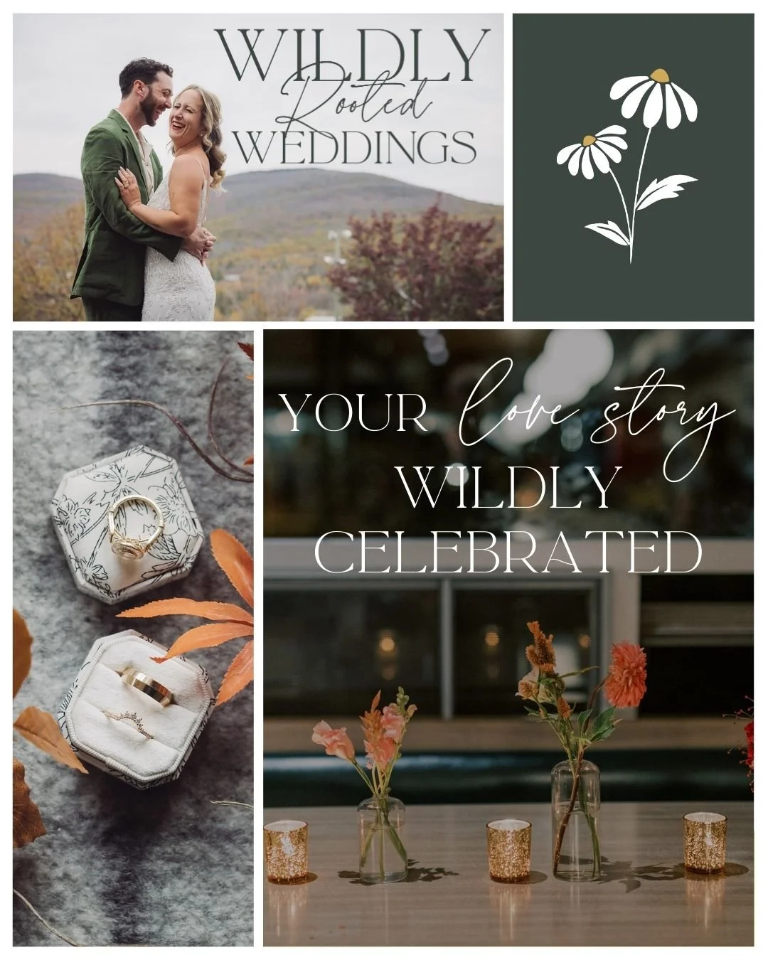 WDC_Offers (Instagram Post (45)) (3).jpg