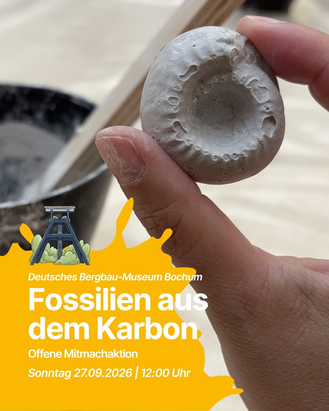 🦕 Fossilien aus dem Karbon

Steinkohle ist mehr als schwarzer Stein: Darin verstecken sich versteinerte Farne, Bl&auml;tter und Zeugnisse einer Zeit vor rund 300 Millionen Jahren. Am 27. September k&ouml;nnt ihr im Deutschen Bergbau-Museum Bochum se
