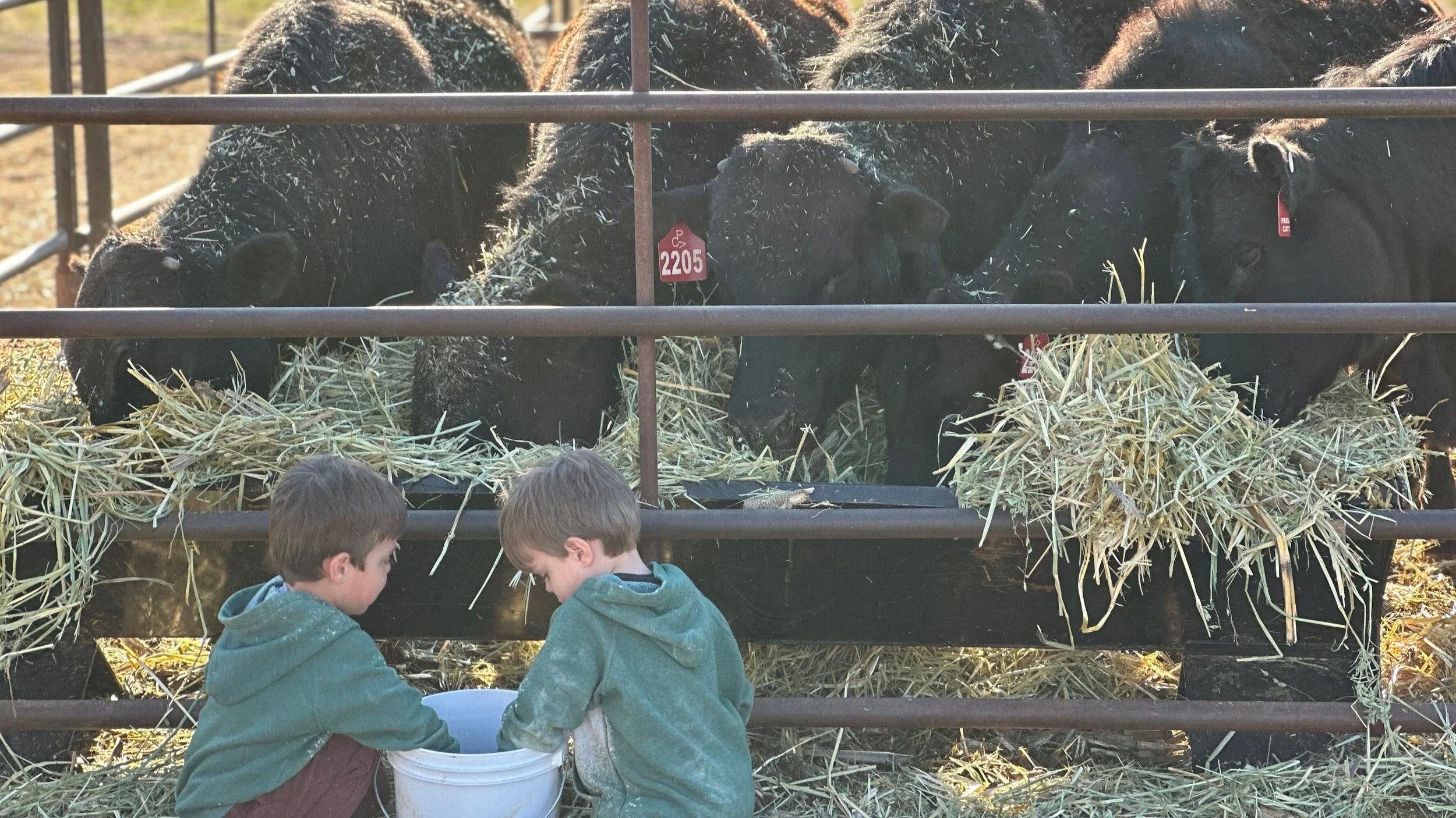 Our Story — Pleasant Valley Ranch
