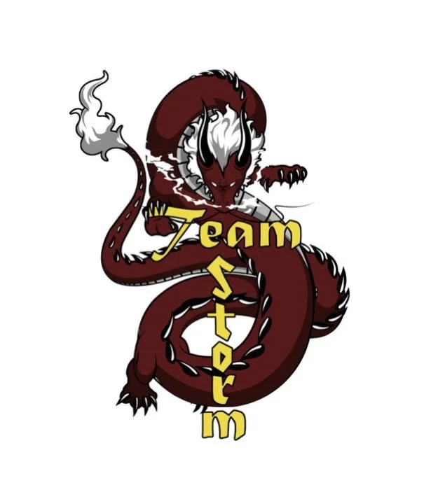 Team Storm Taekwondo Spirit Day