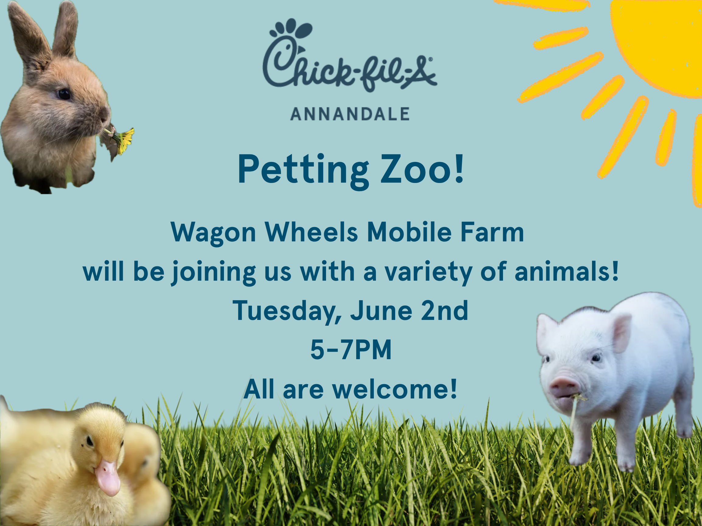 Petting Zoo
