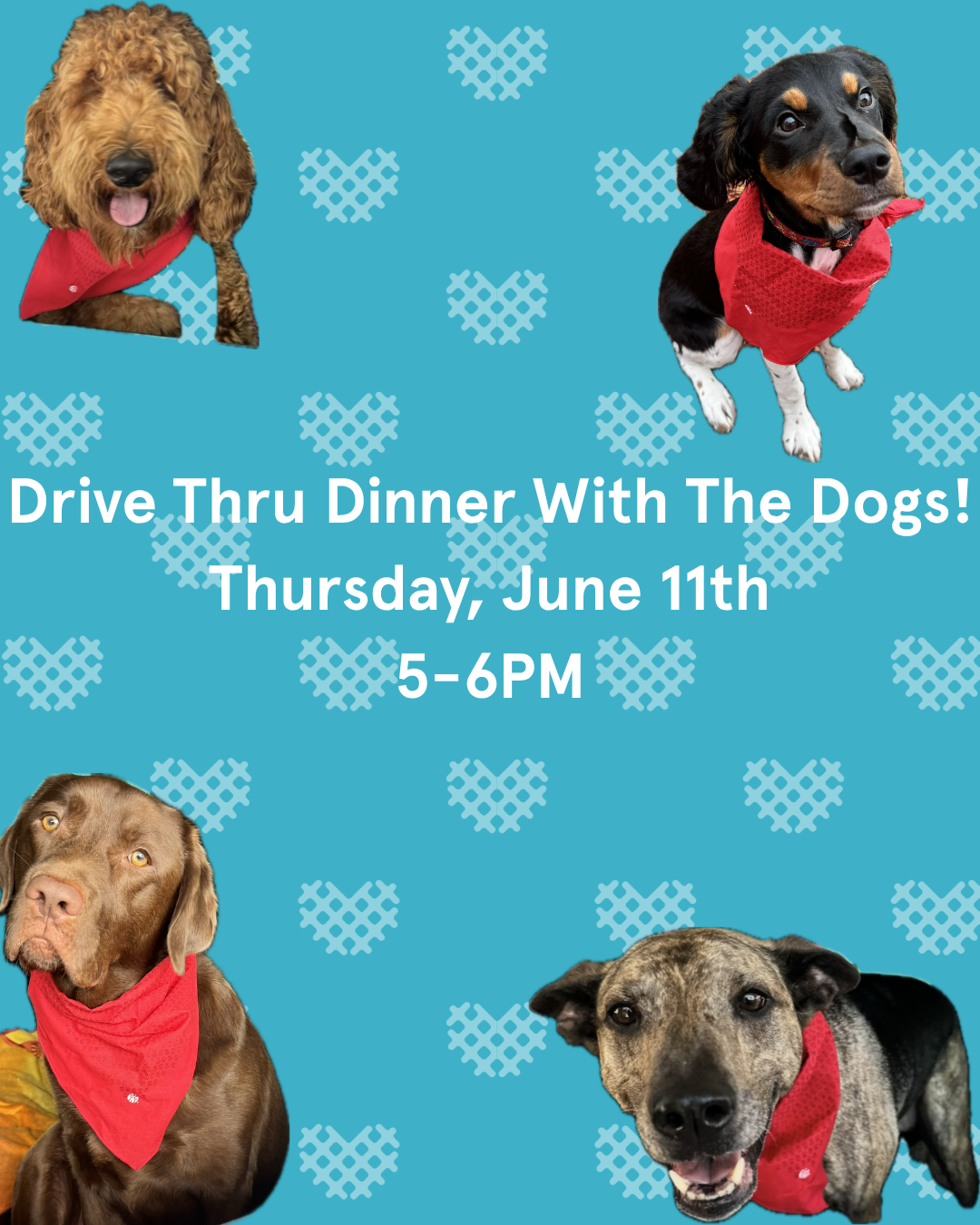 Drive Thru Dinner With The Dogs