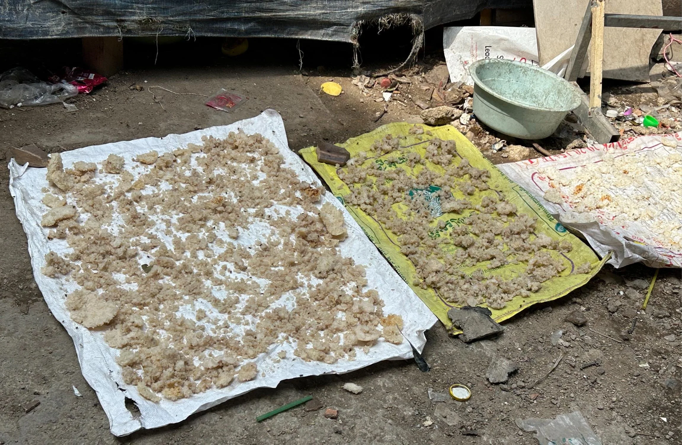 drying rice in slum.jpg