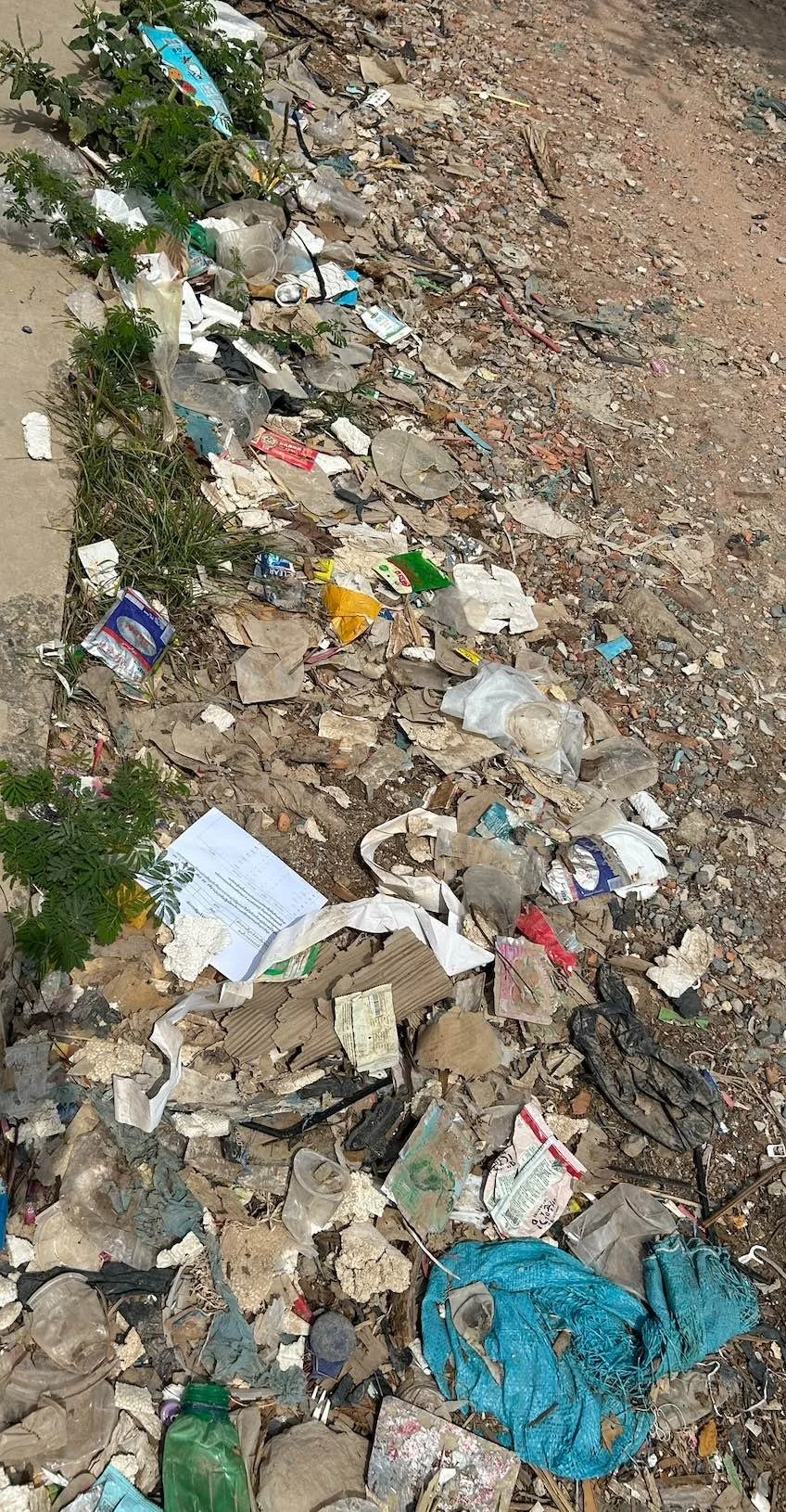 trash on ground.jpg