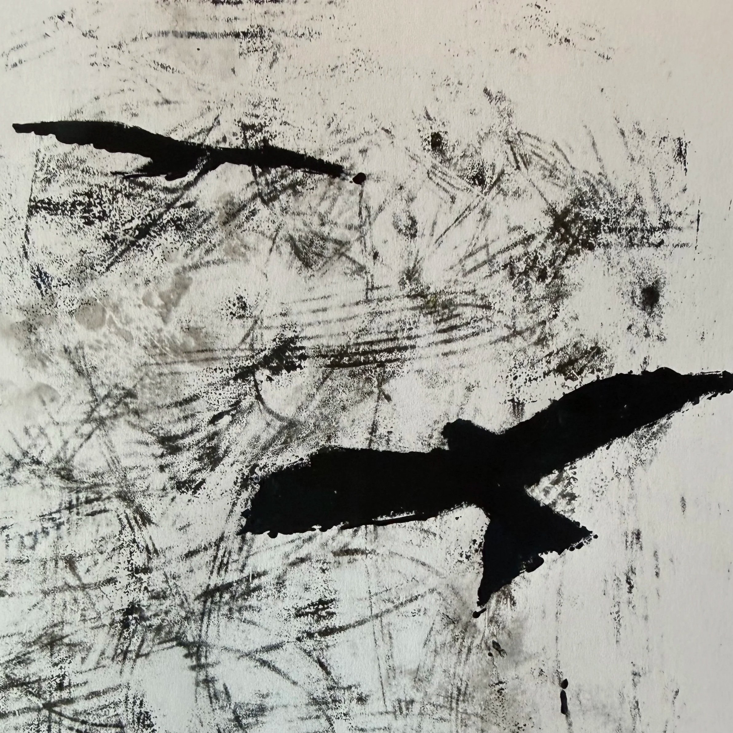 Red Kite Pair, Ink on Paper £65 SOLD