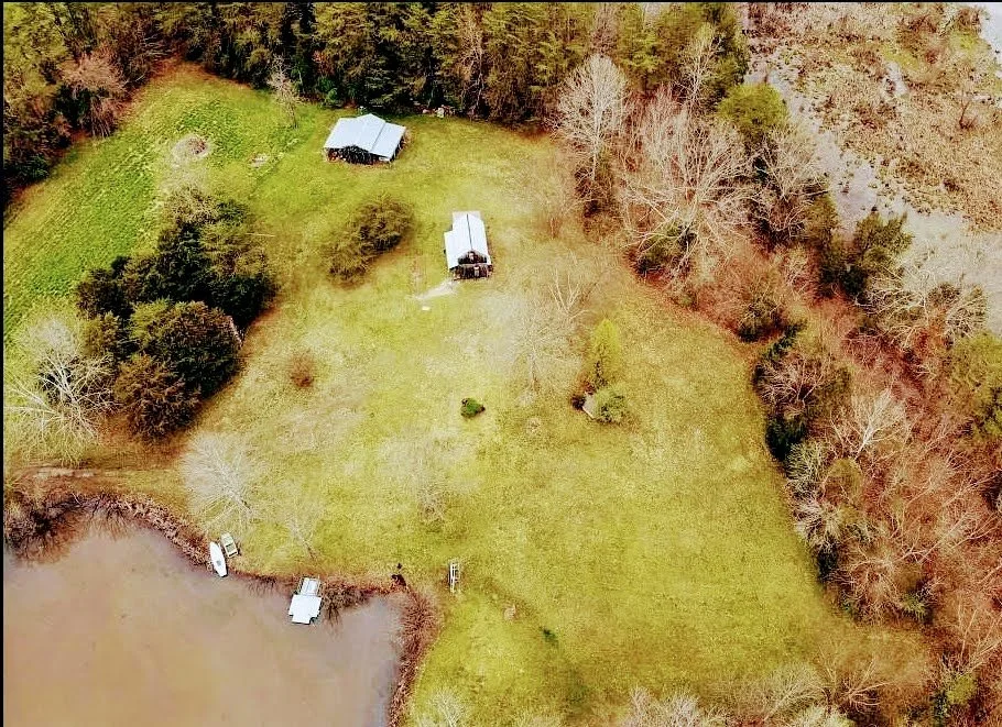 overhead shot.jpg