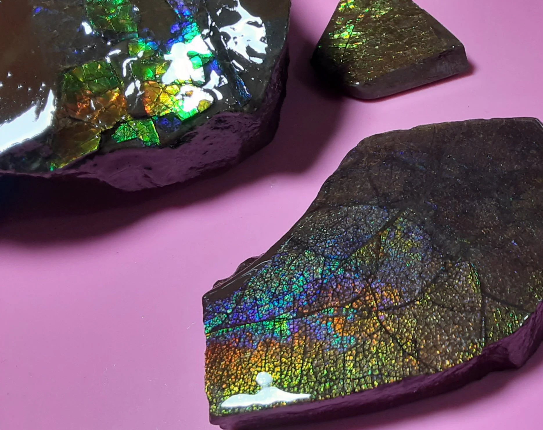 Look at those colors!