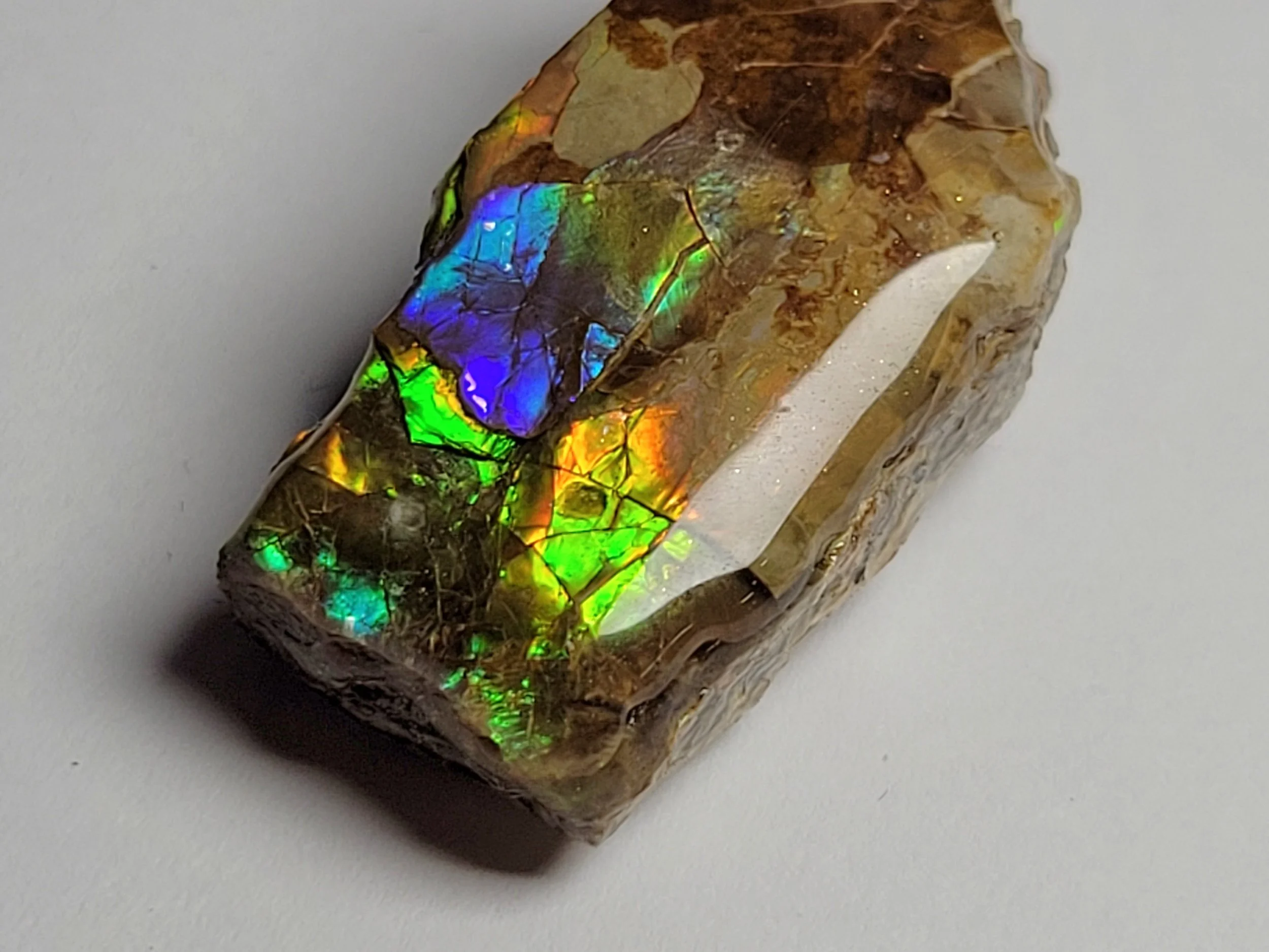 A stunning piece of Ammolite!