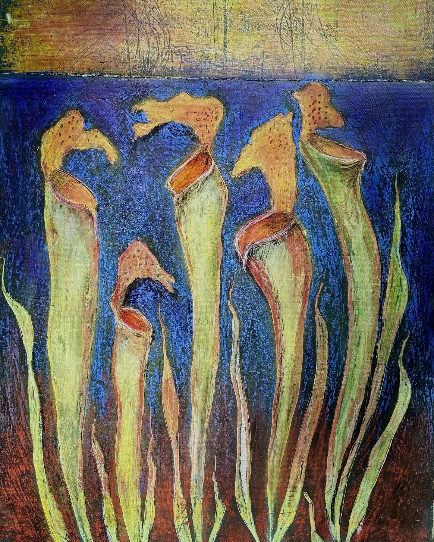 Pitcher Plants 
(SOLD)