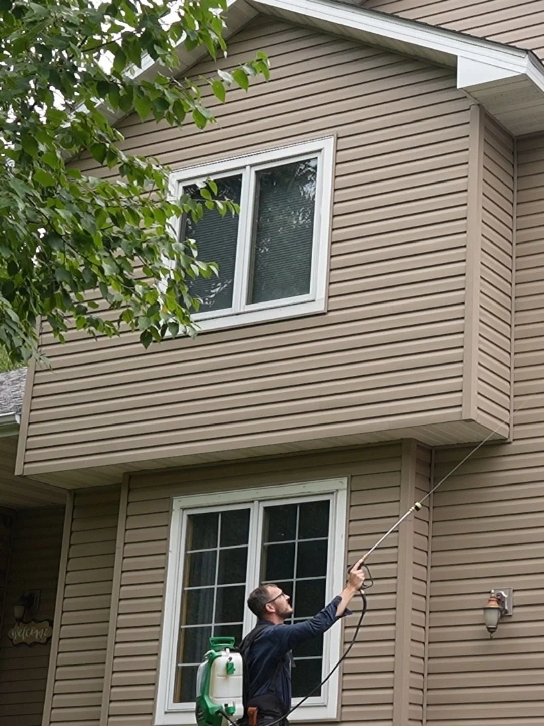 Compass Pest Control technician treating upper siding and window frames — common clustering points for boxelder bugs in fall.
