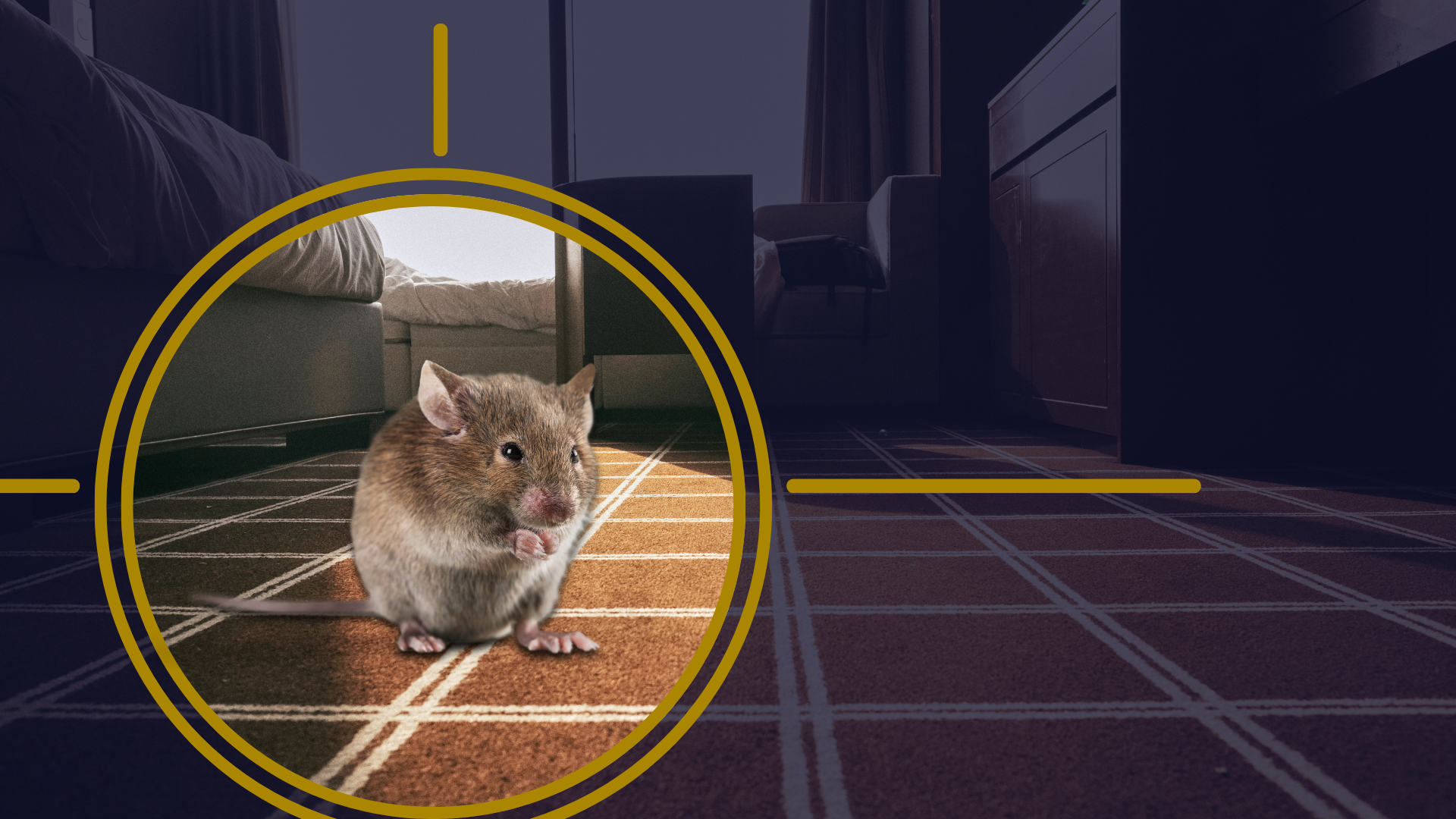 How Pests Get Into Your Home, Part 1: Top Entry Points Pests Use&nbsp;