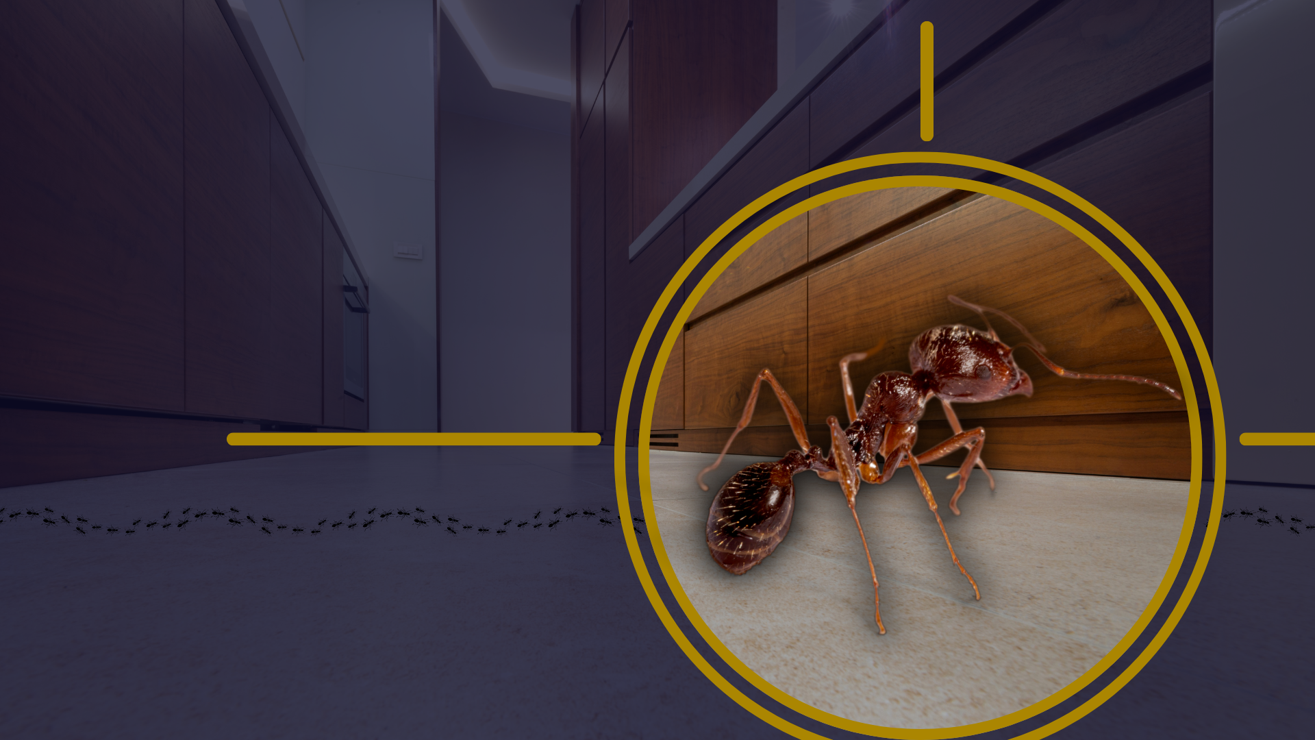 How Pests Get Into Your Home: Pt 2: Telltale Signs of Pests 