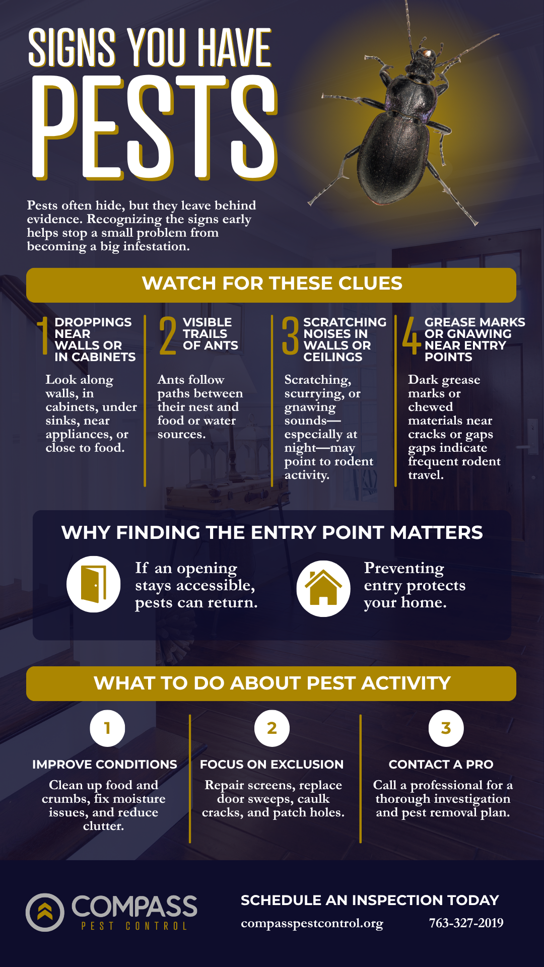 A helpful infographic showing how to spot signs of pests in your home, why finding entry points is important, and what to do to prevent pests