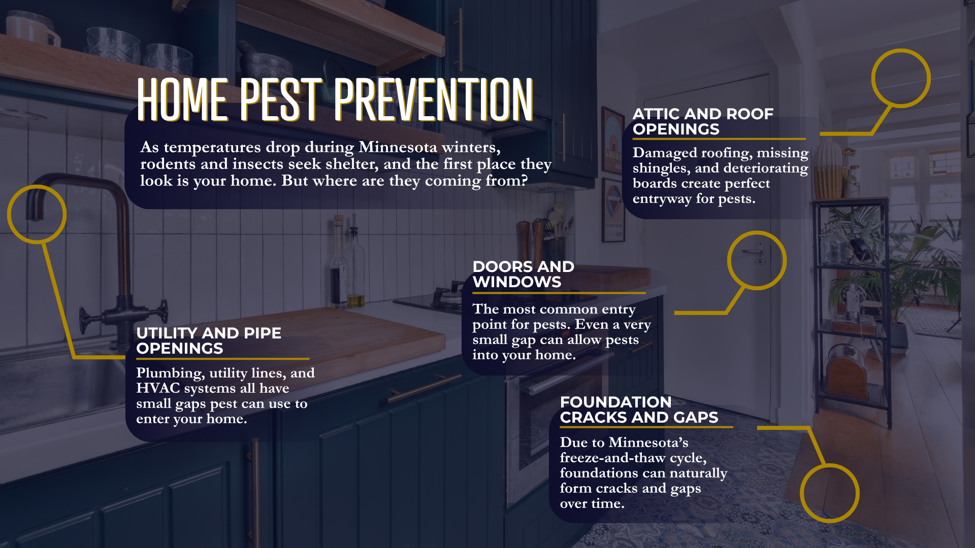 A graphic identifying the most common pest entry points.
