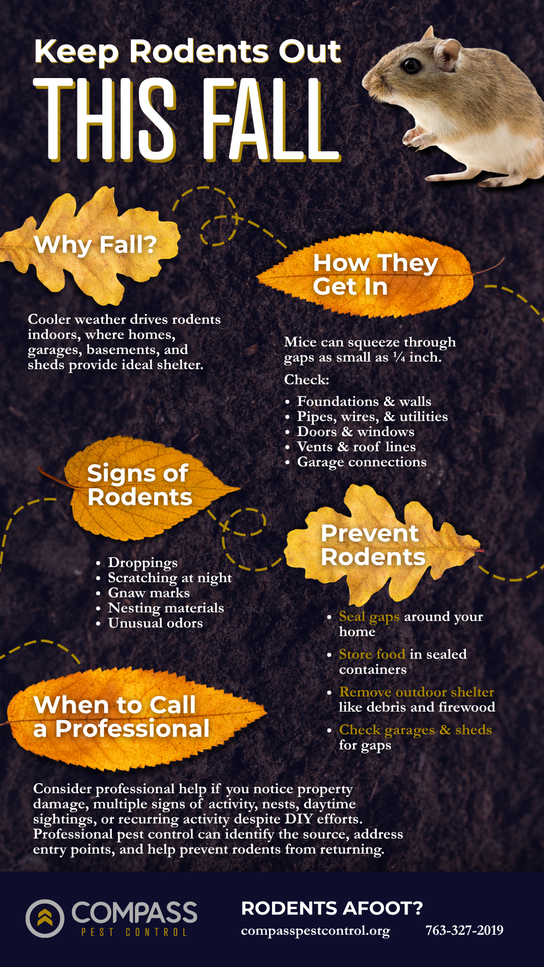 A helpful infographic showing how to keep rodents out of you home this fall