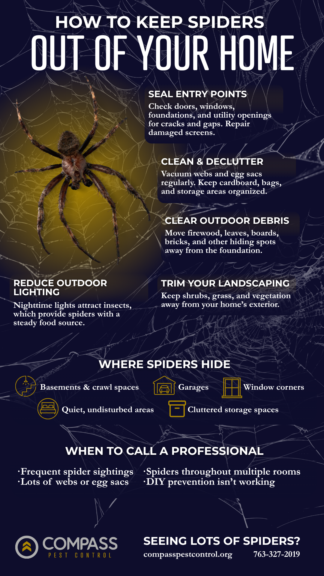 A helpful infographic showing different ways to keep spiders out of your home