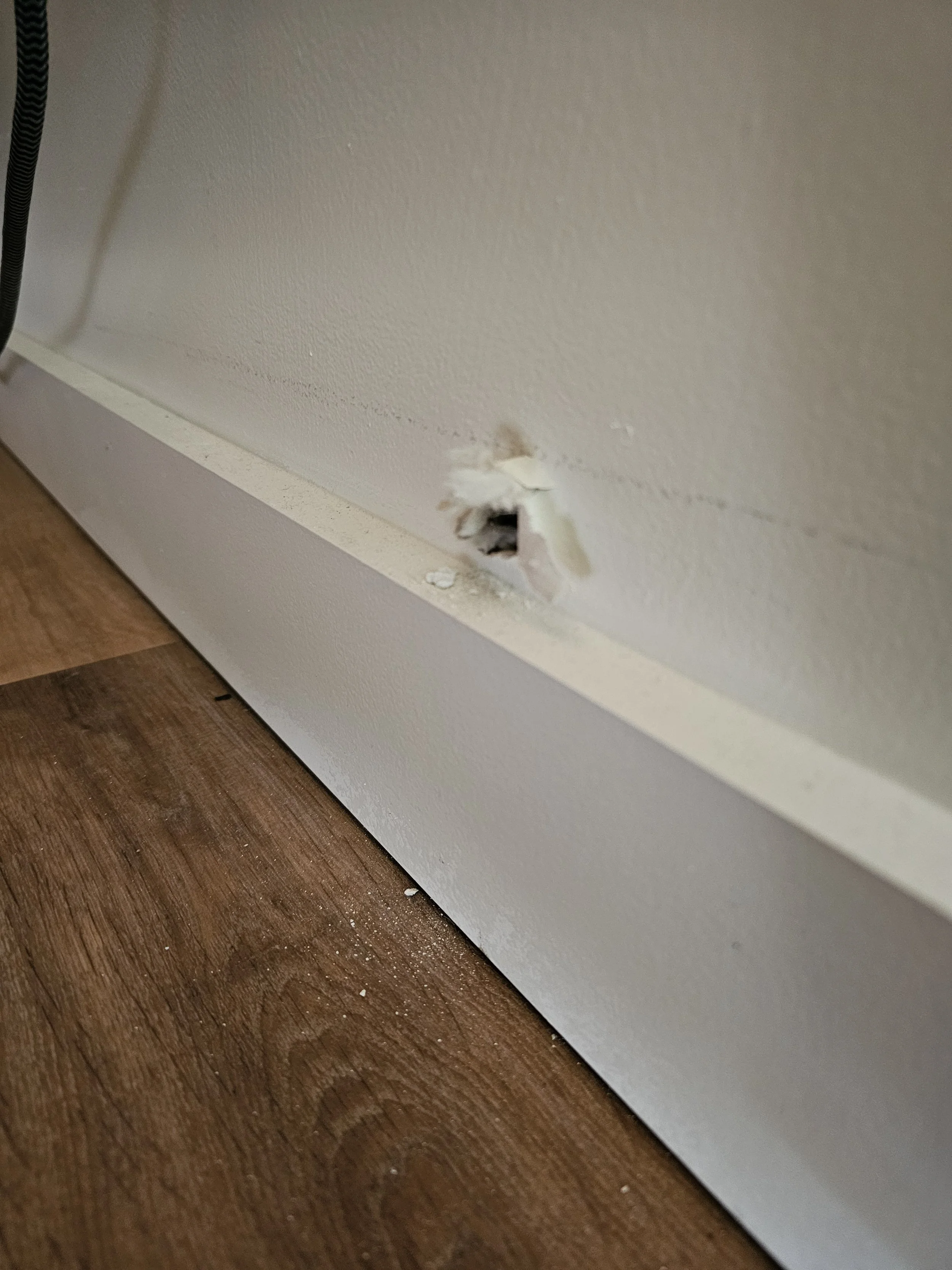 Small hole chewed through drywall at the baseboard by mice — a common sign of rodent activity and evidence of the entry points Compass Pest Control seals during exclusion work