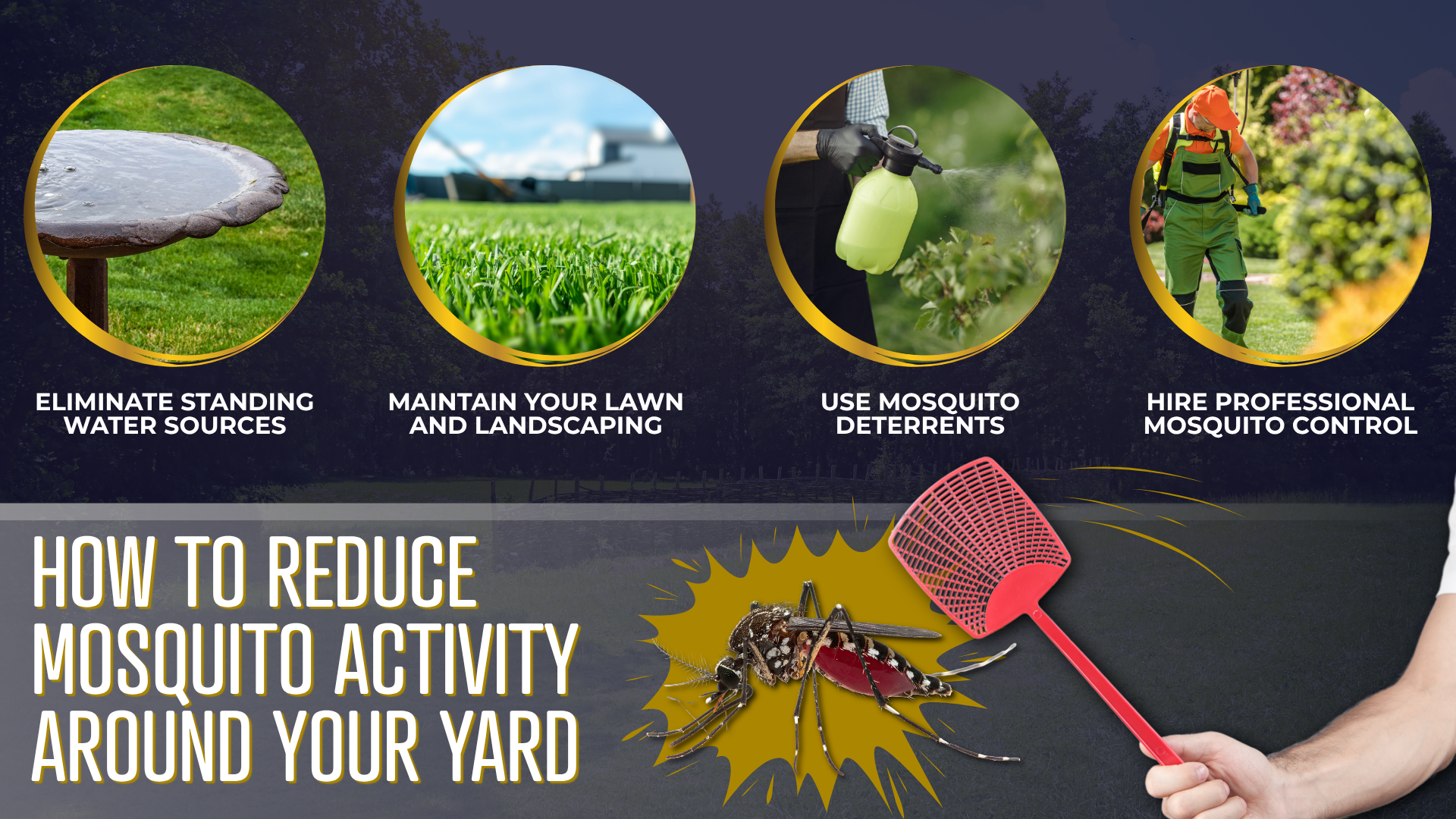 A dark blue image titled “How to Reduce Mosquito Activity” with 4 written steps.