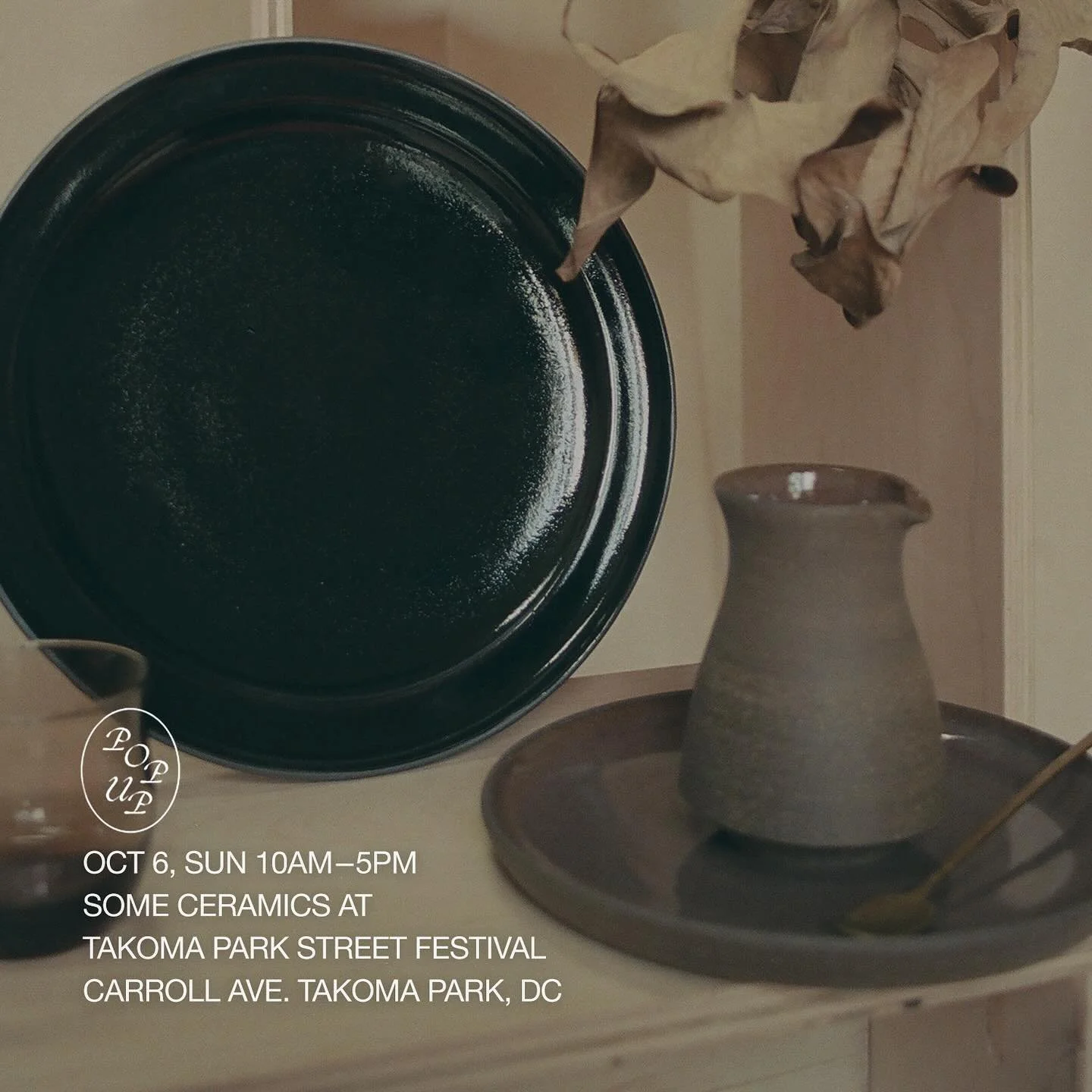 Joining @mainstreettakoma street festival this weekend! First time having a fair in Takoma Park and looking forward to it. See you there!

Also, photo credit to the talented @anjiisan who has a show right now at @surethings__  till the end of Oct.