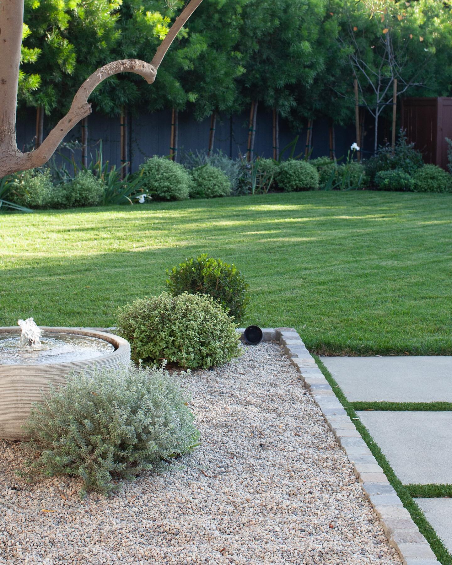 A few words about hardscape materials;
It doesn&rsquo;t have to be expensive&hellip;.the pathways around this pool are colored concrete, a relatively affordable material. The gravel around the olive (also affordable) allows passage to the side yard w