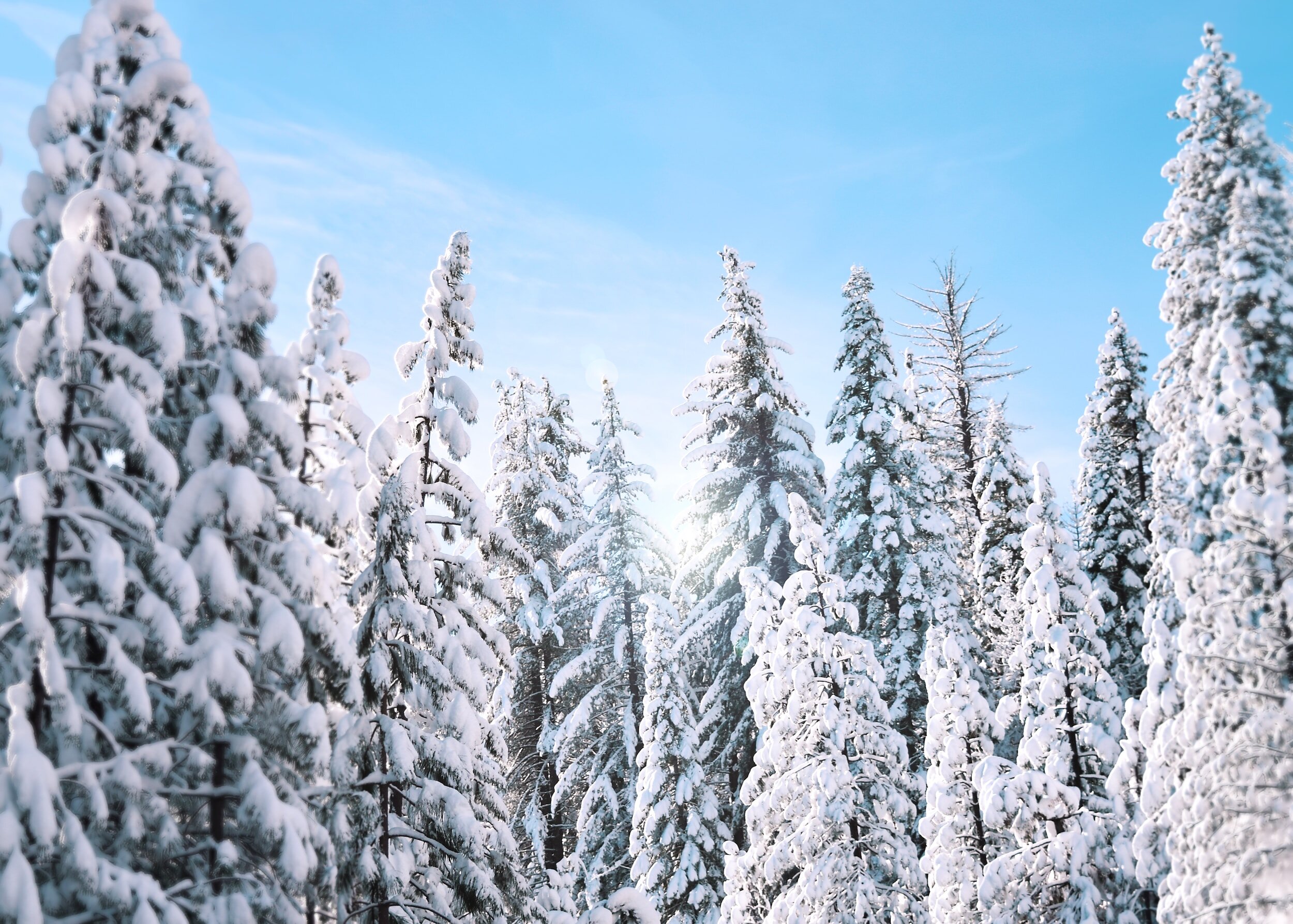 Teen Winter Camp @Camp Selah