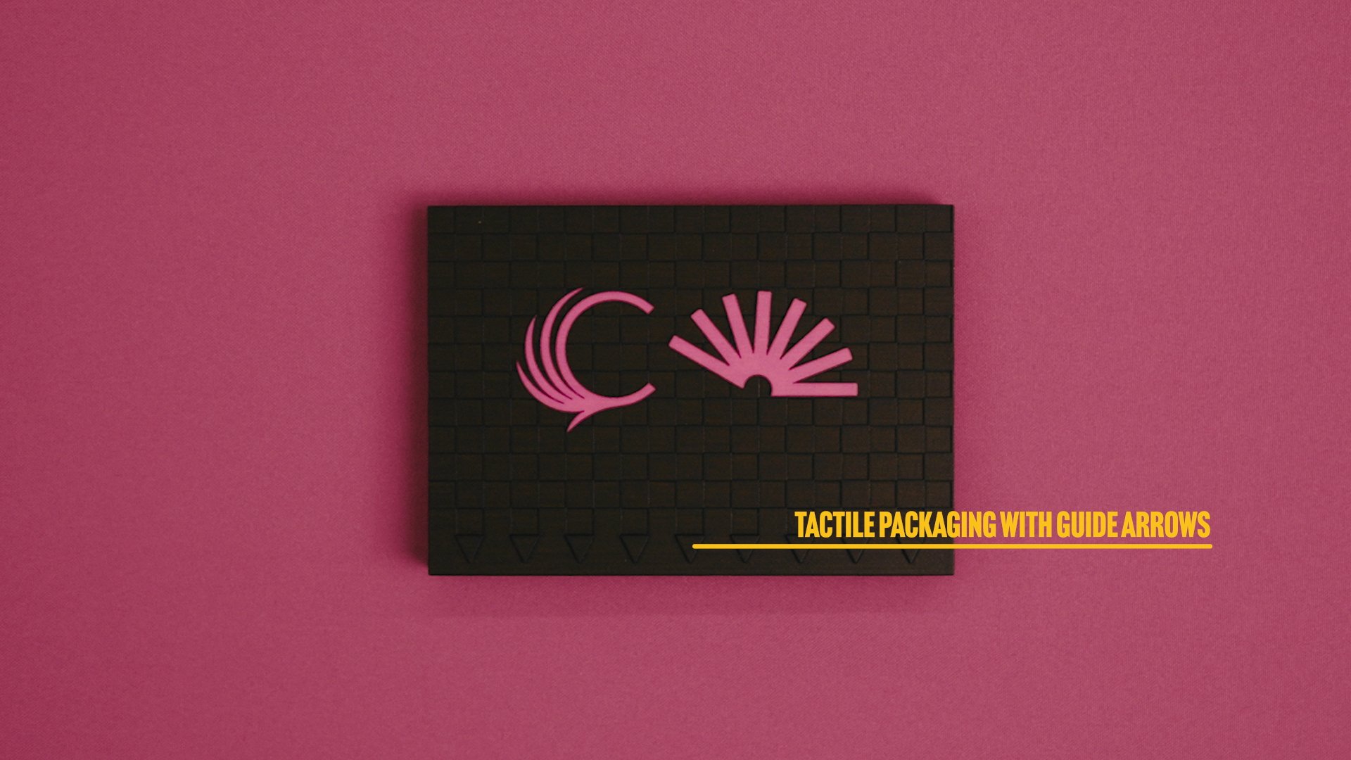 SHINE_Scarlette's Dream_16x9_ProRes0819 copy.jpg