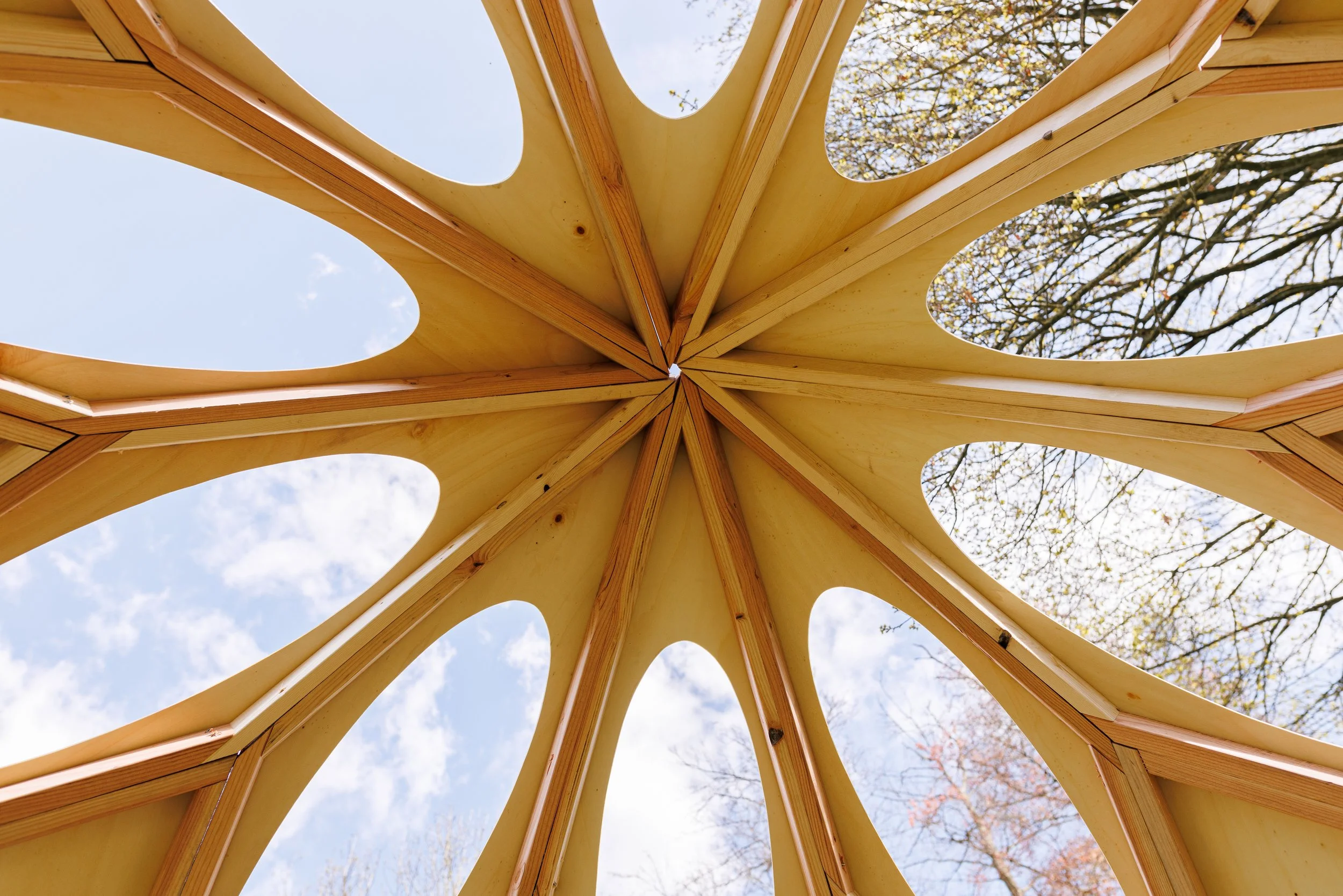 BV Wood construction bois insolite zome dome foire de jardin Enghien 2024
