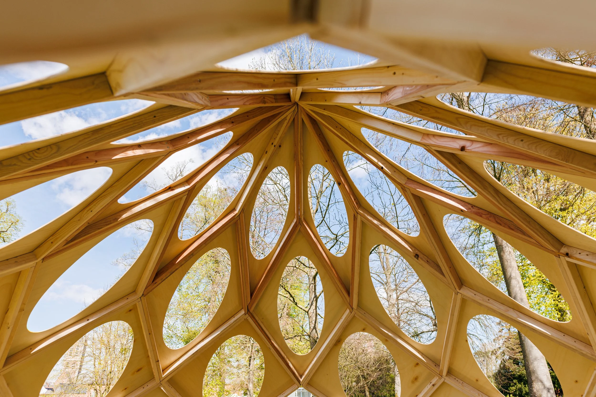 Structure bois dome zome