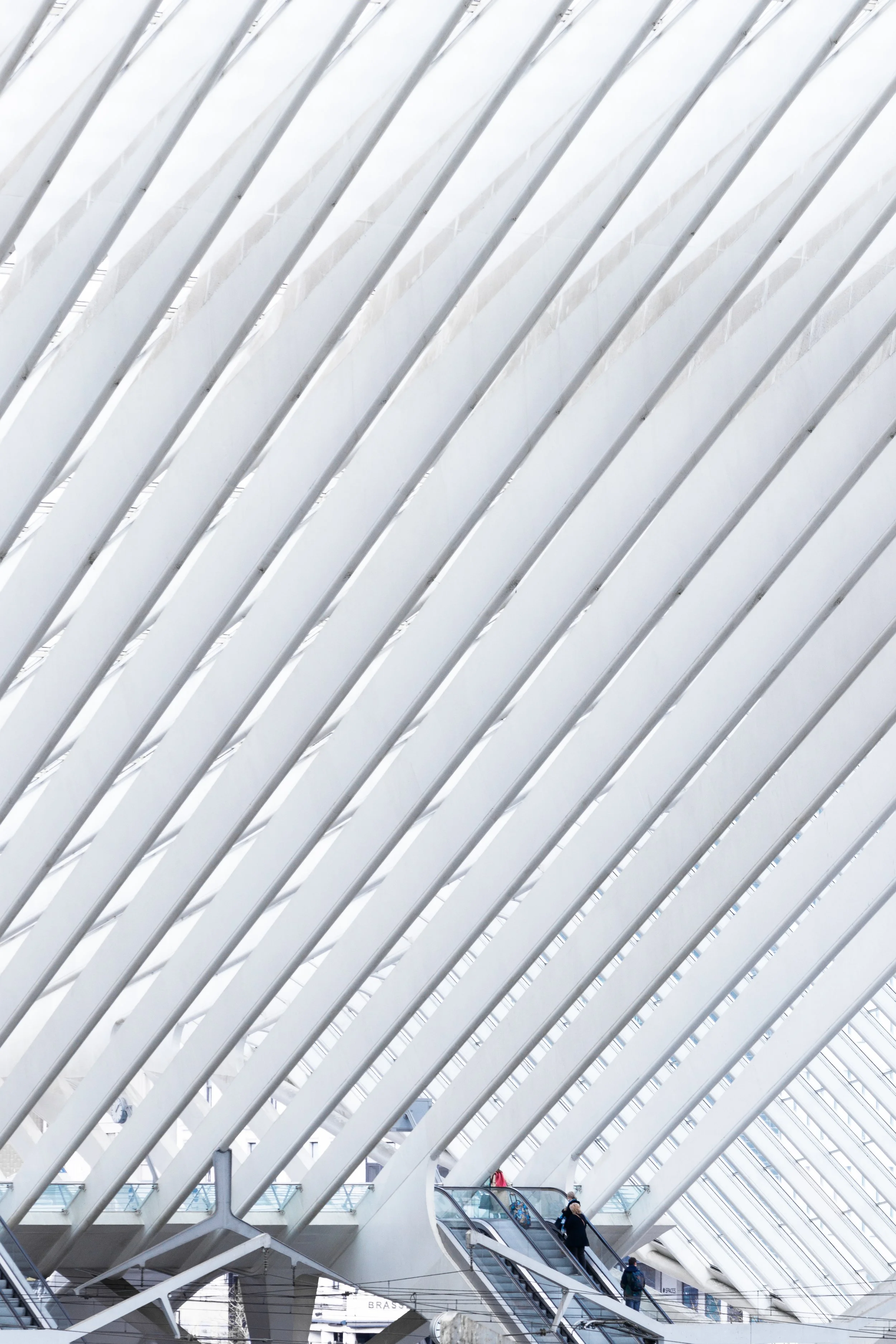 Gare de Liège-Guillemins