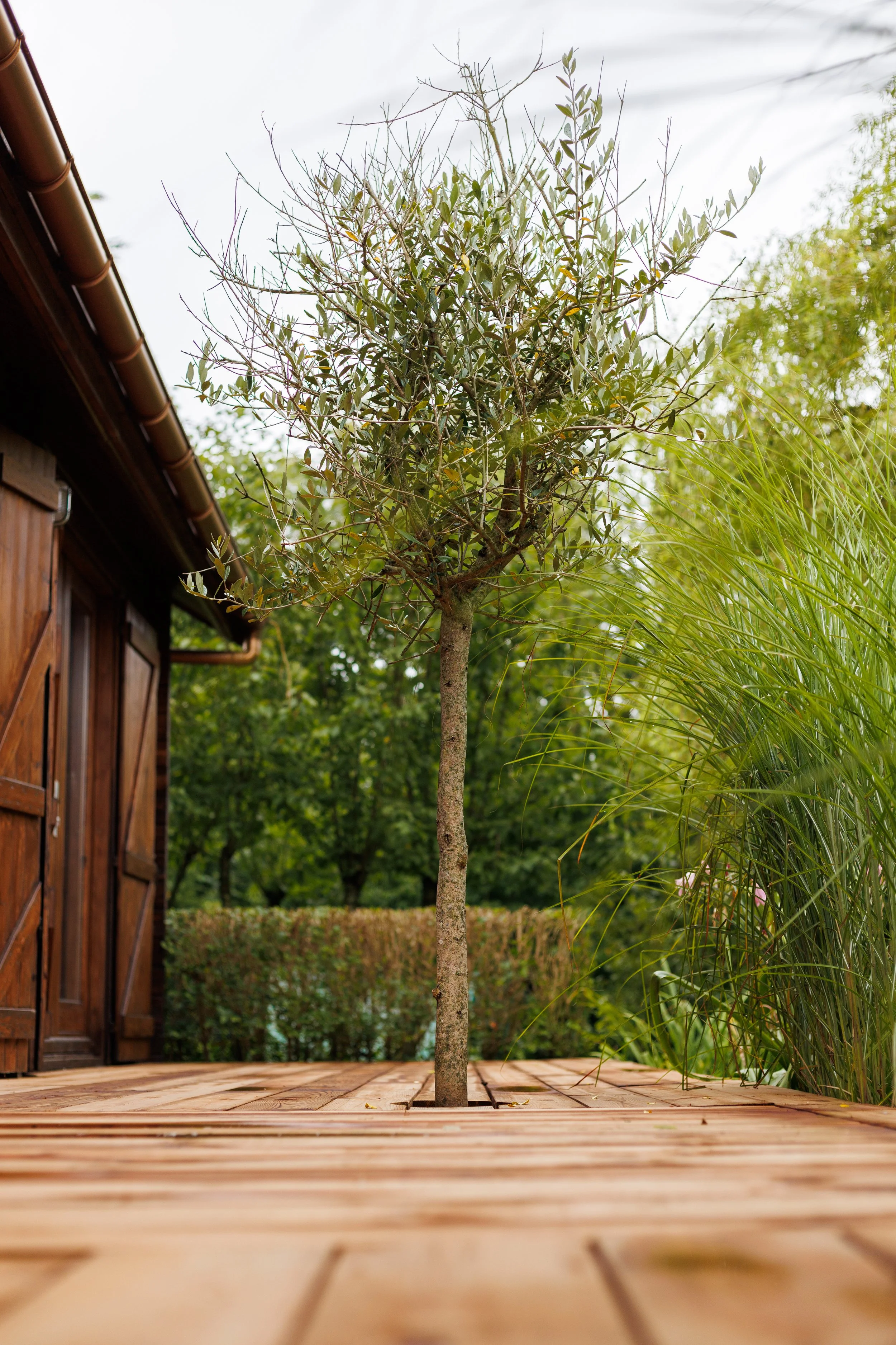 BV Wood terrasse finie 00015.jpg