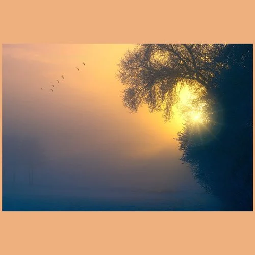 Silence