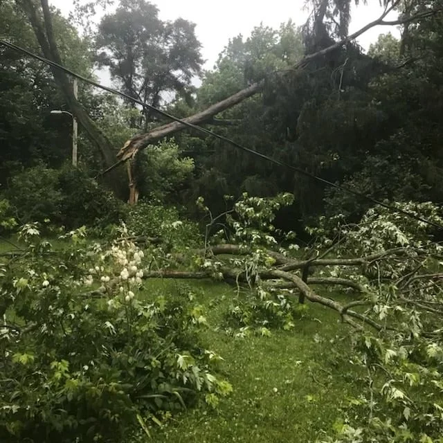 Help A Beloved Neighbor