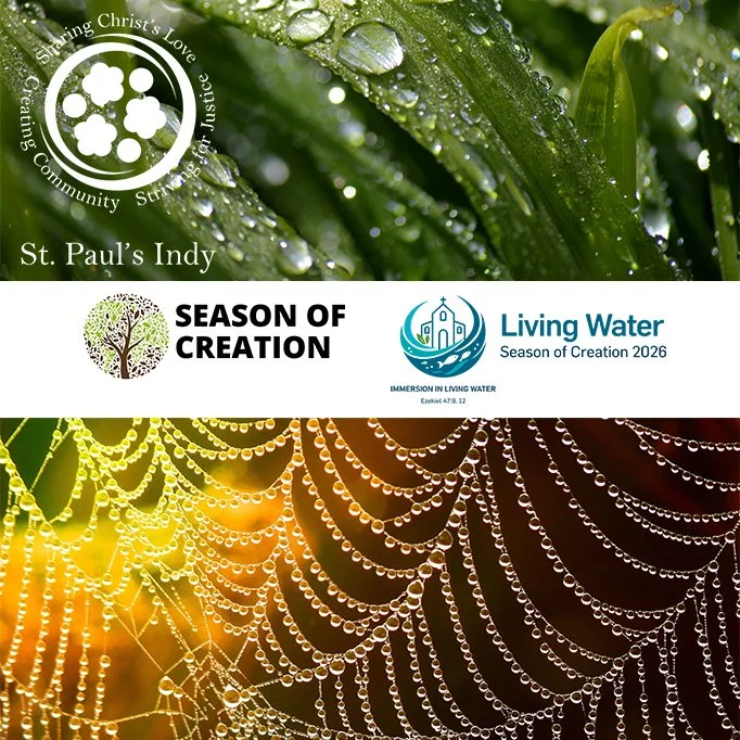 Season of Creation