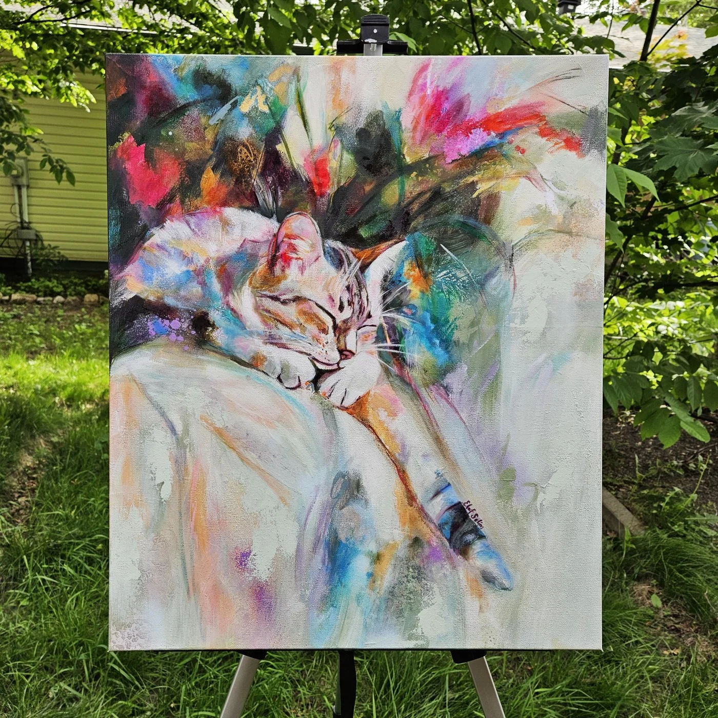 QH03_DreamingInColor_01.jpg